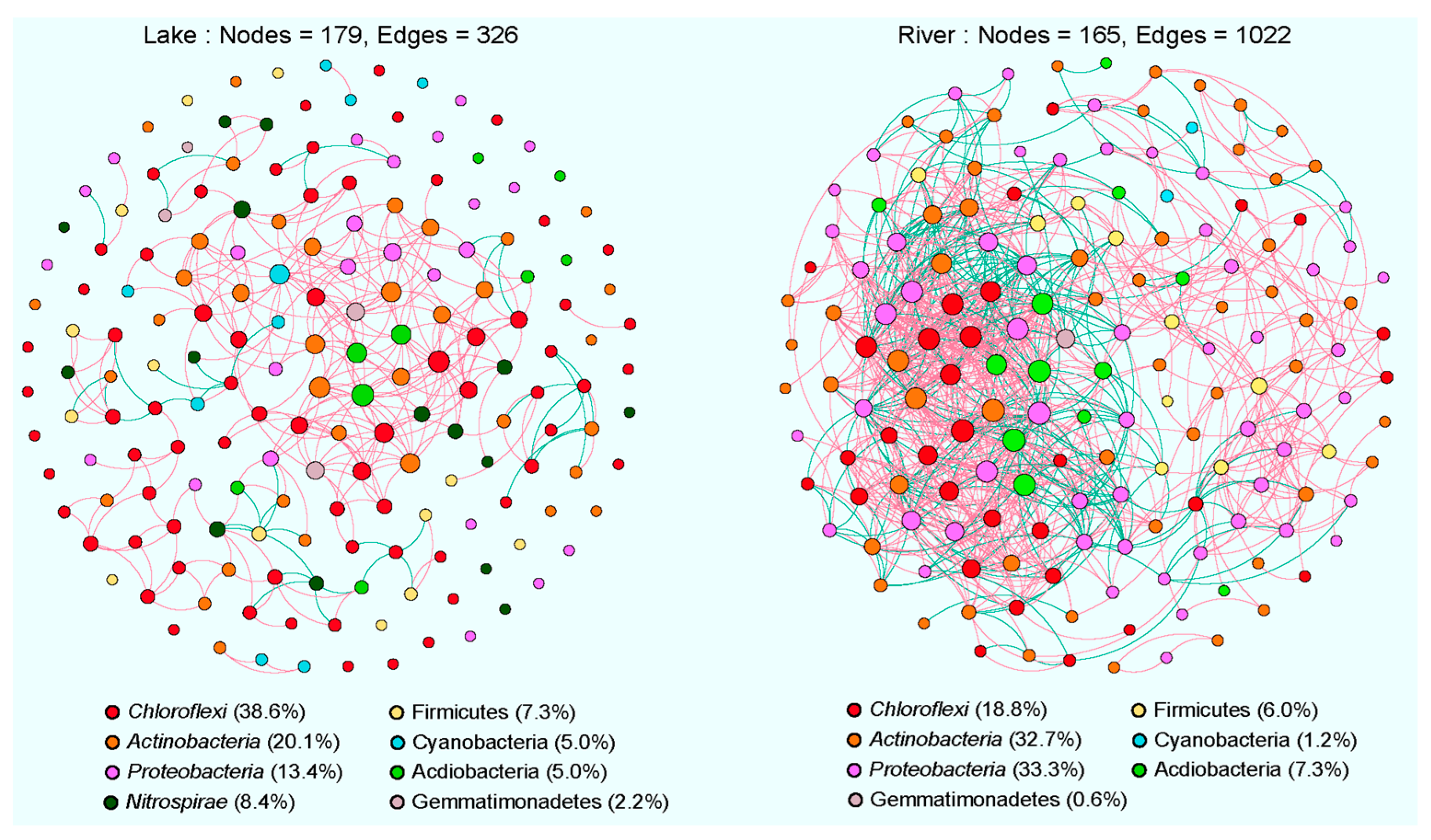 Microorganisms 12 01435 g007