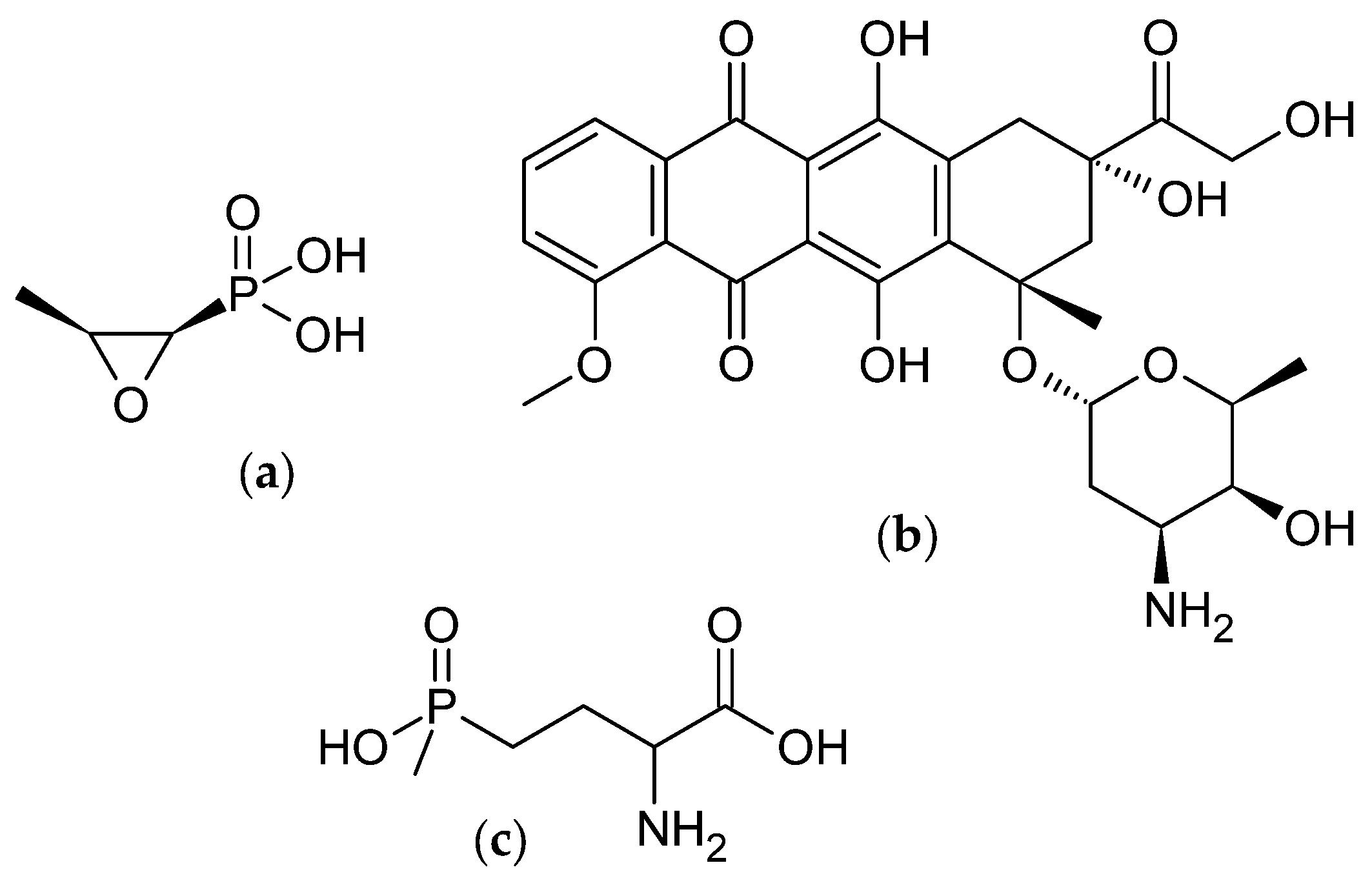 Microorganisms 12 01445 g003