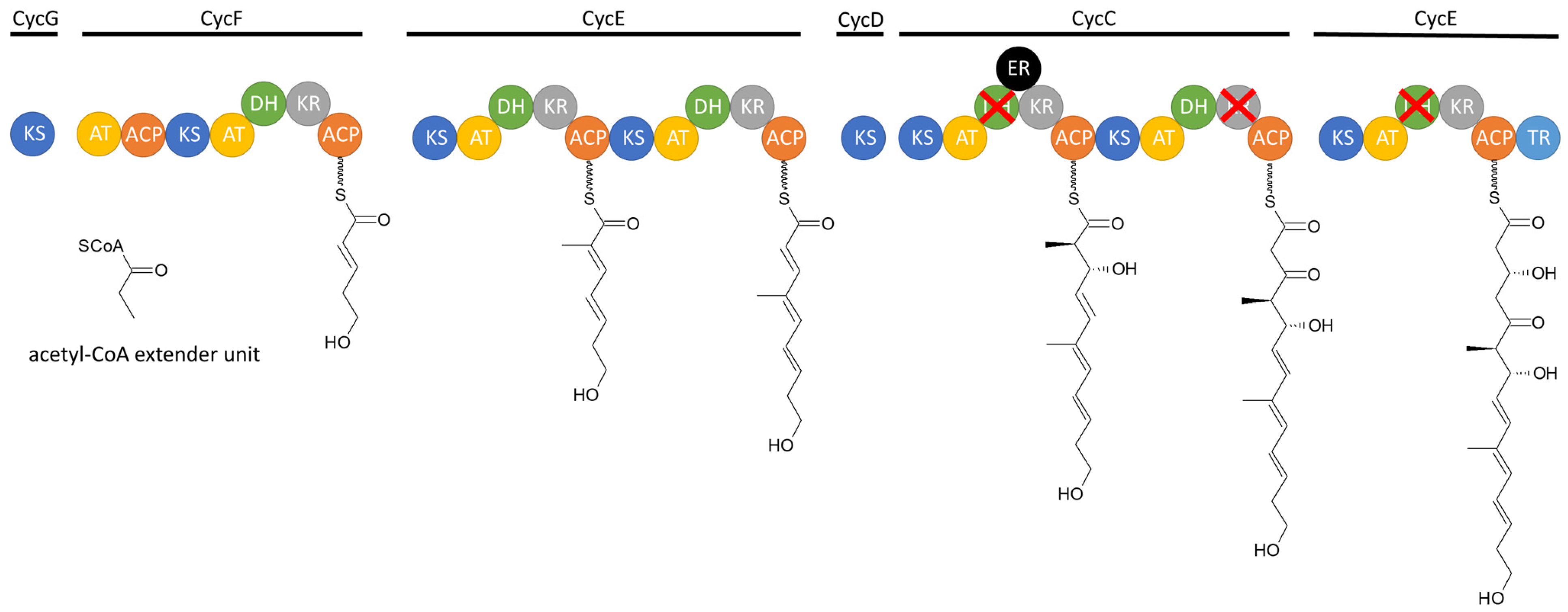 Microorganisms 12 01445 g006