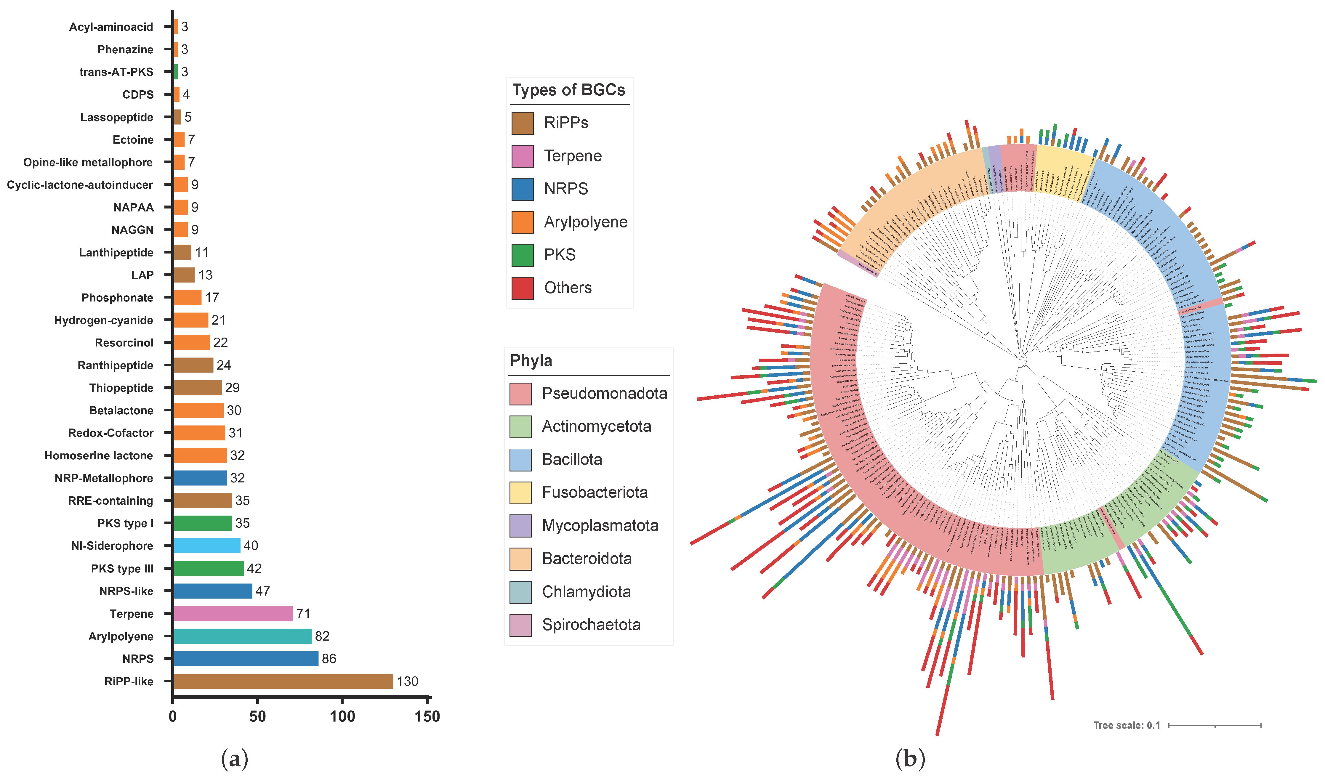 Microorganisms 12 01448 g001