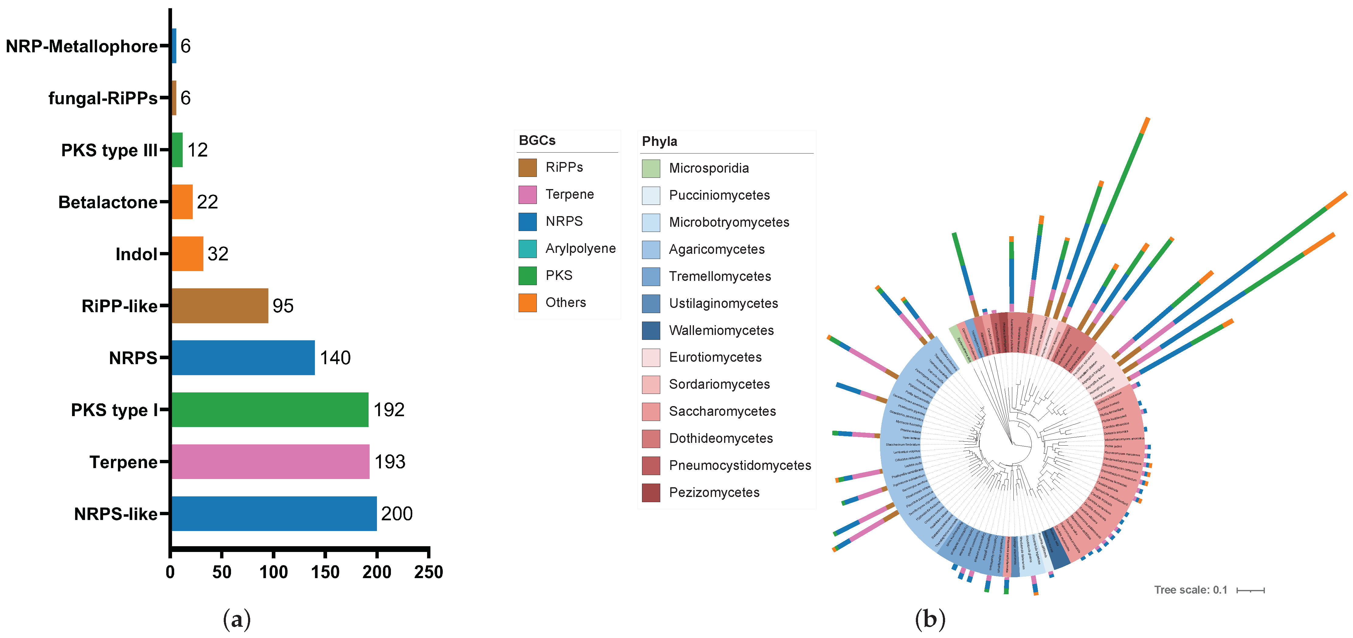 Microorganisms 12 01448 g002
