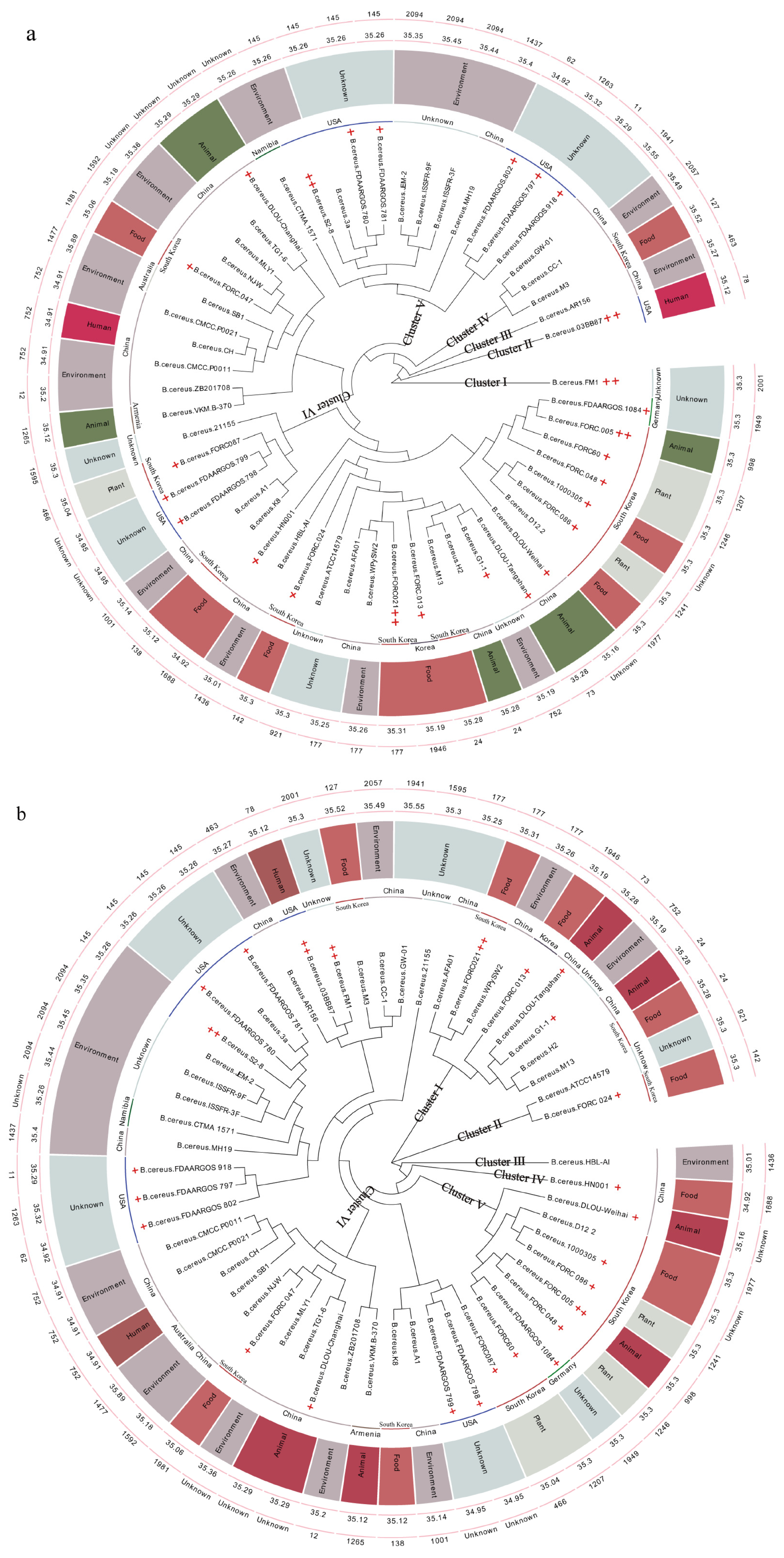 Microorganisms 12 01457 g001