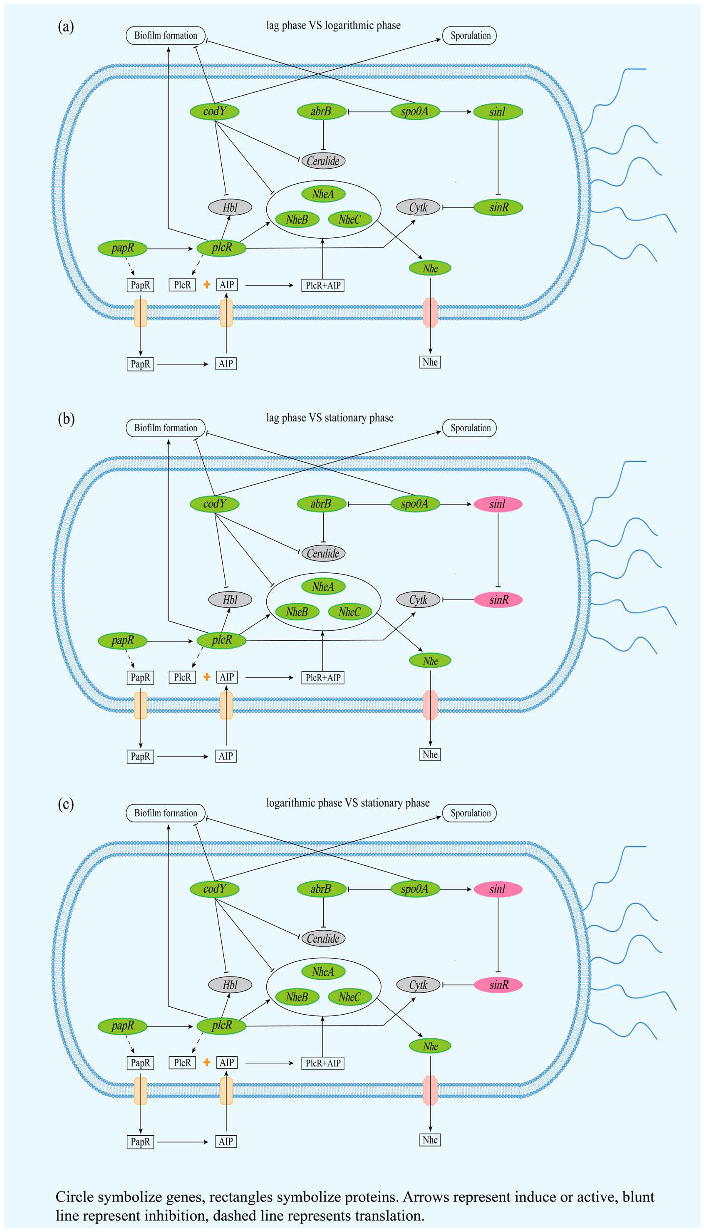 Microorganisms 12 01457 g003