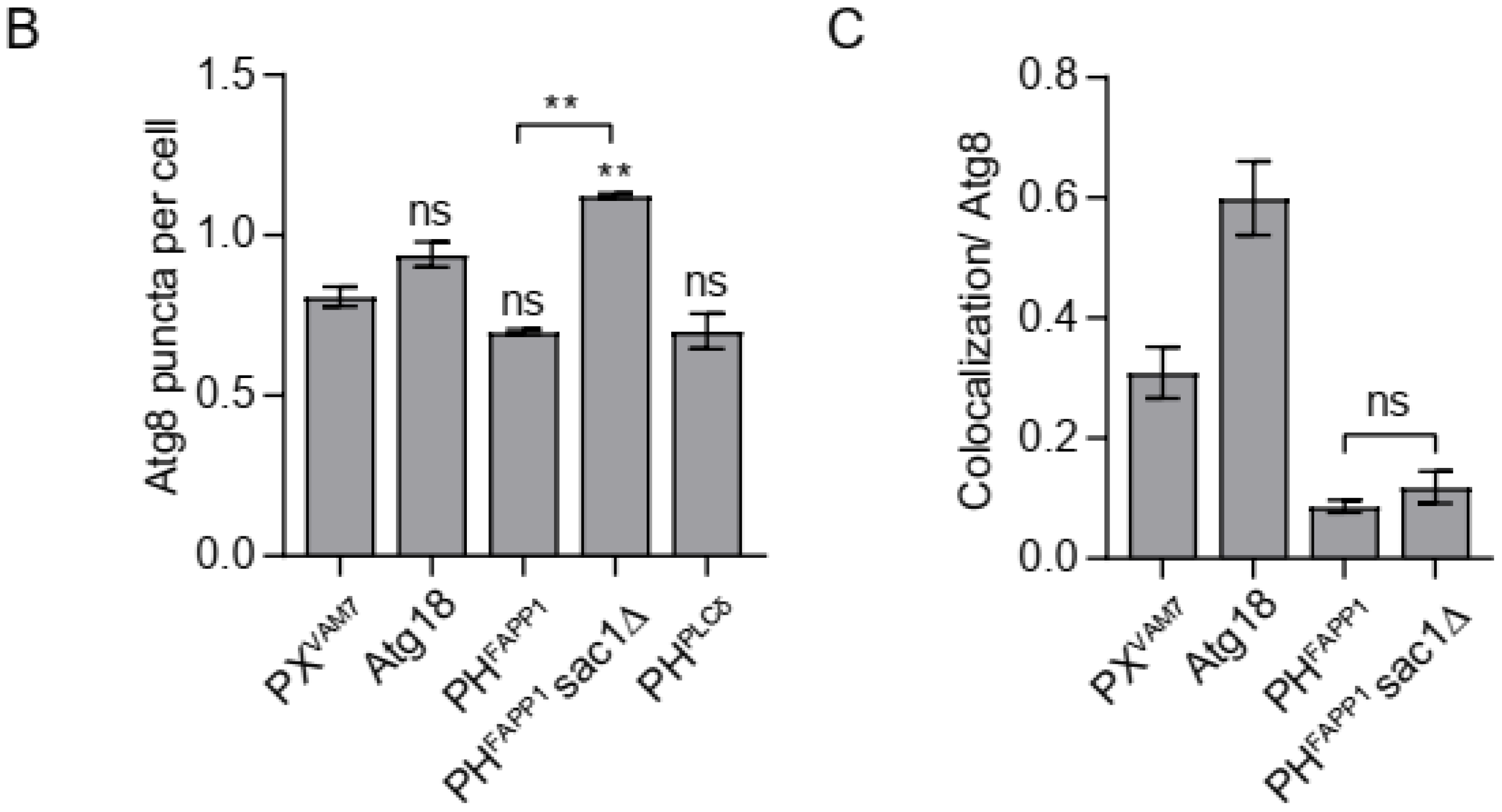 Microorganisms 12 01458 g005b