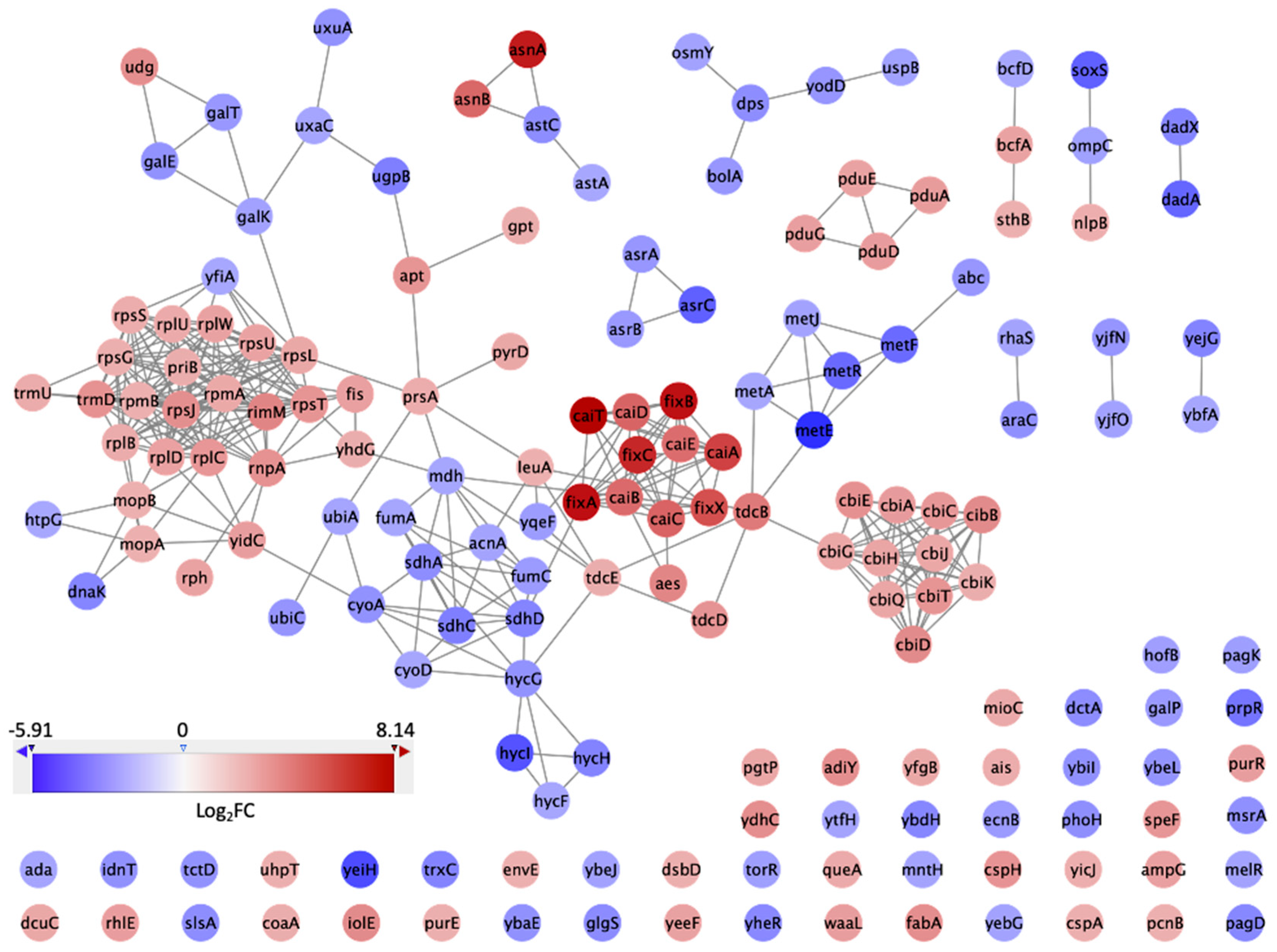 Microorganisms 12 01461 g005