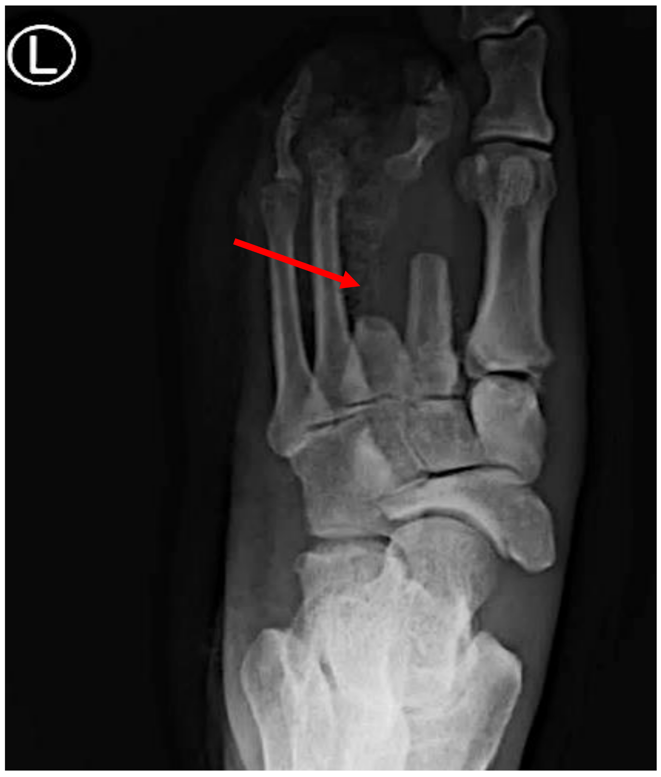 Microorganisms 12 01464 g003