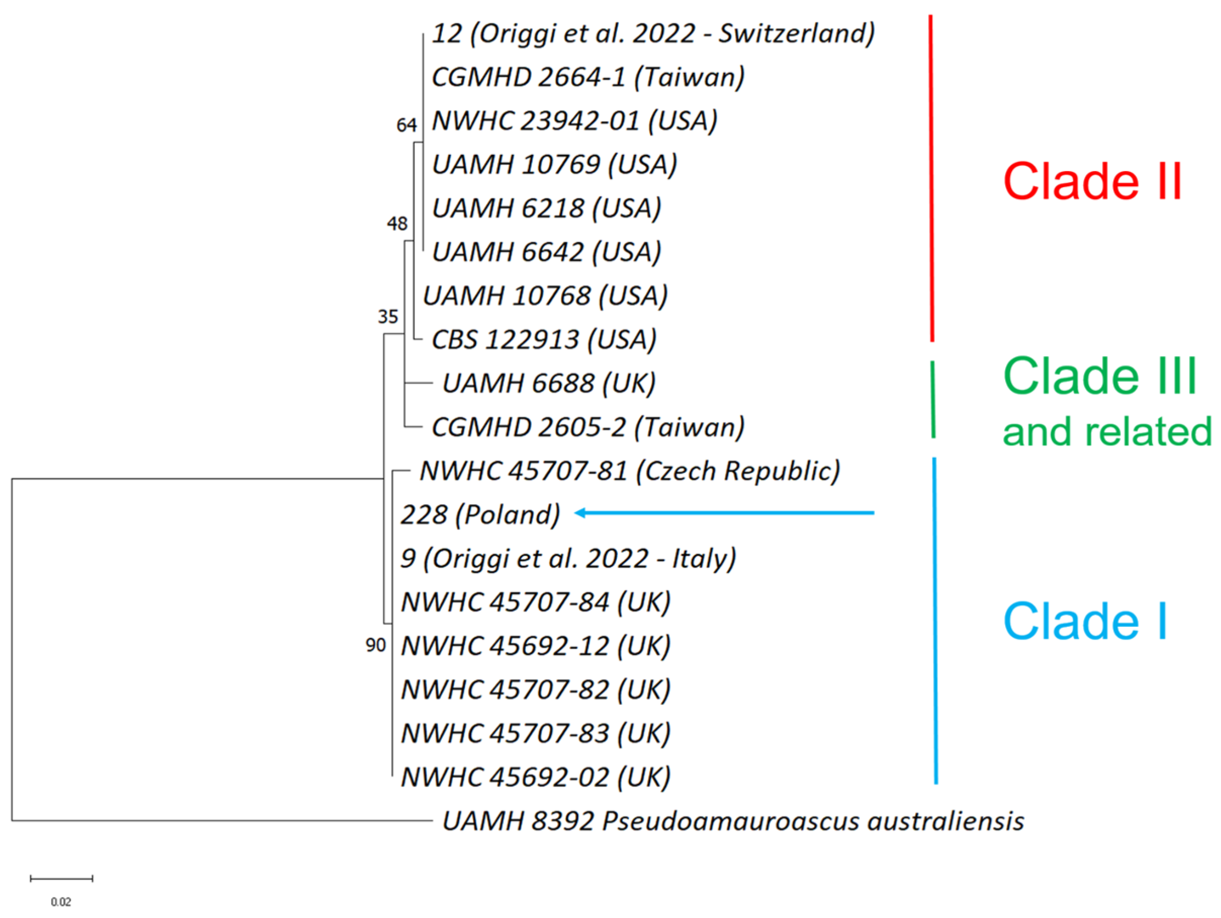 Microorganisms 12 01467 g004