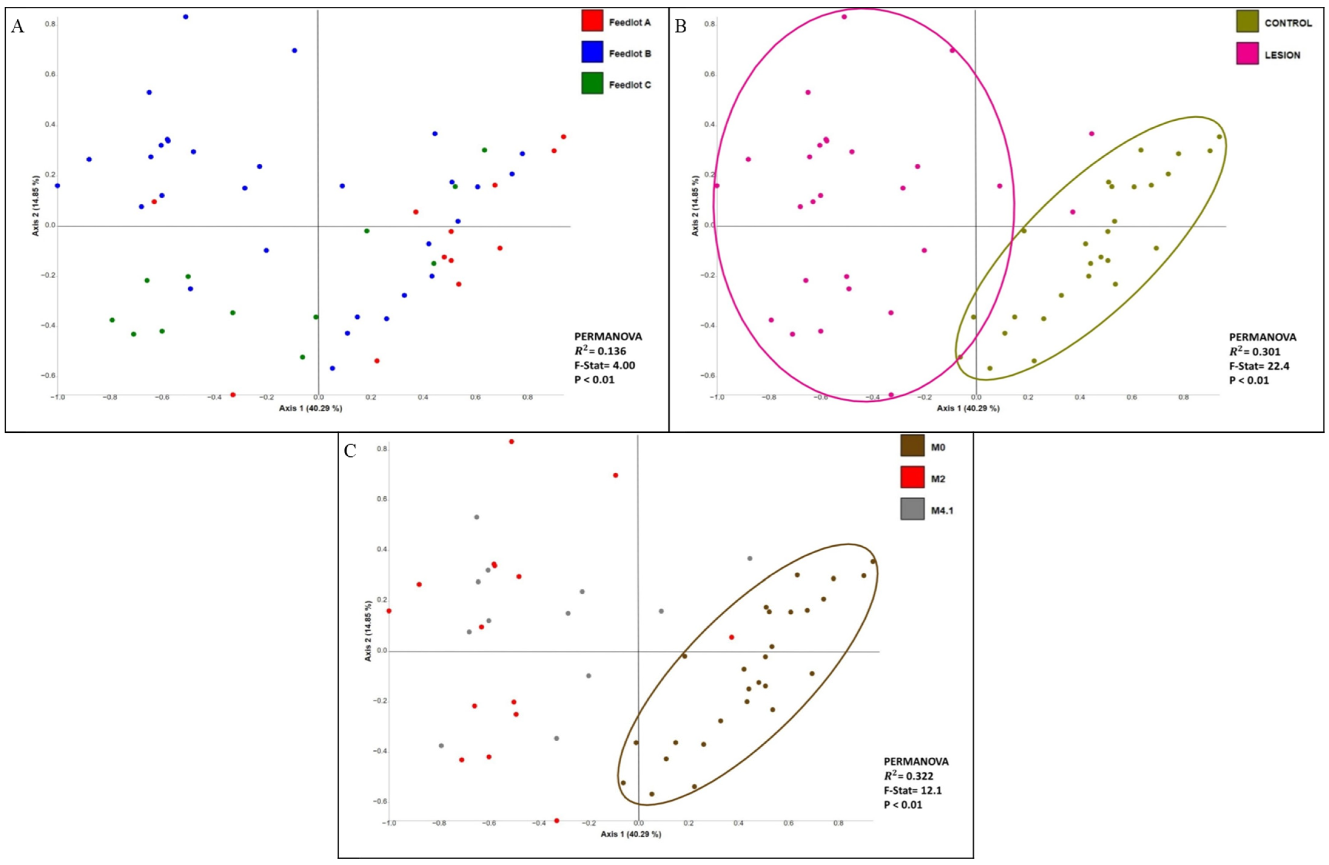 Microorganisms 12 01470 g004