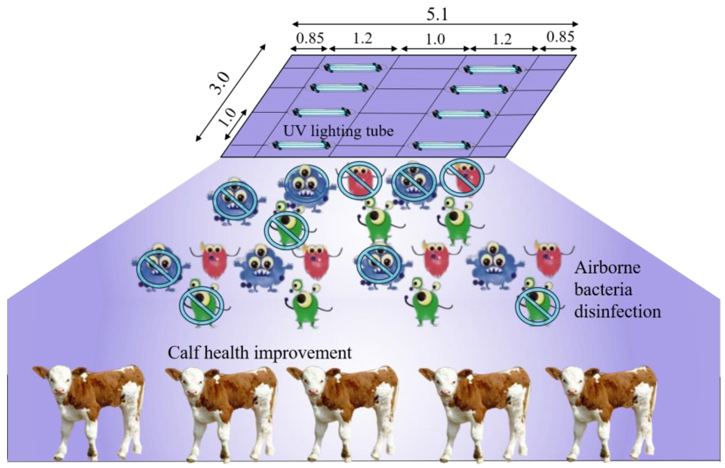 Microorganisms 12 01472 g002