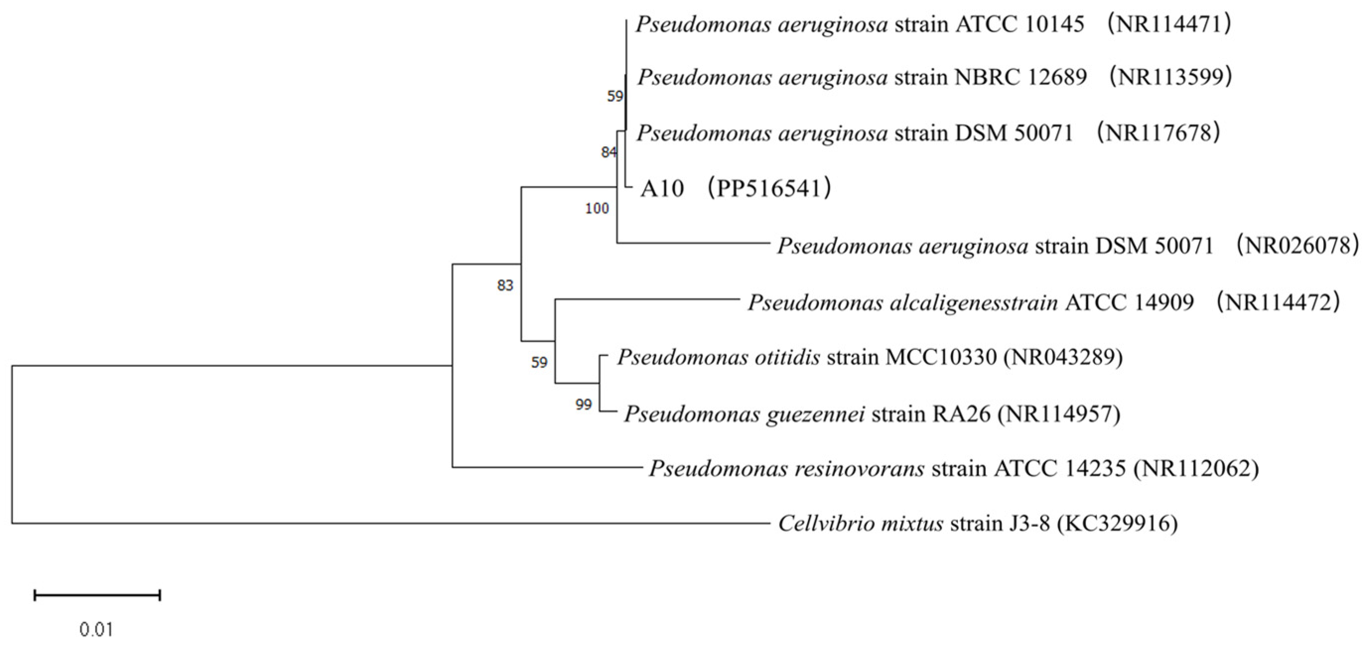 Microorganisms 12 01474 g007