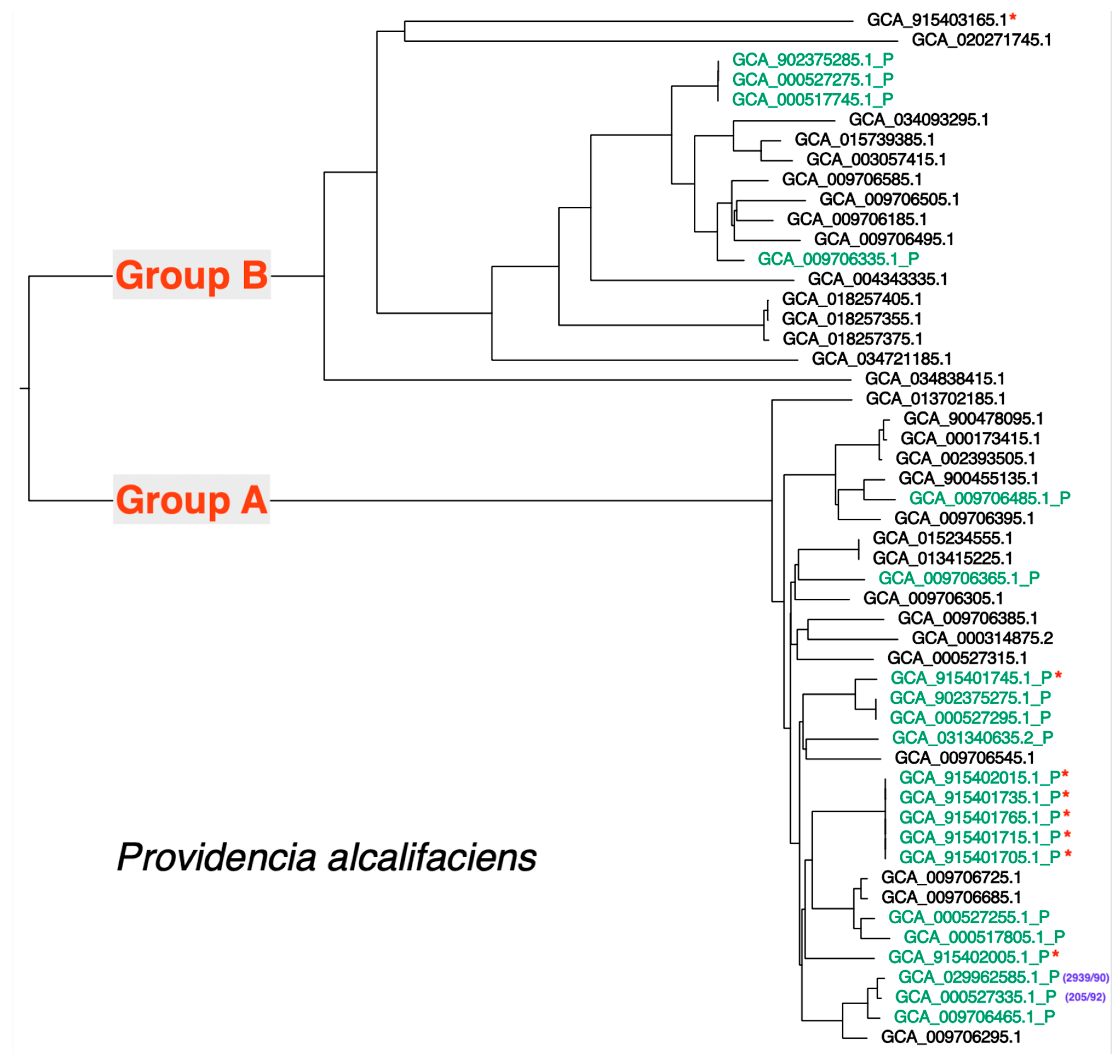Microorganisms 12 01479 g001