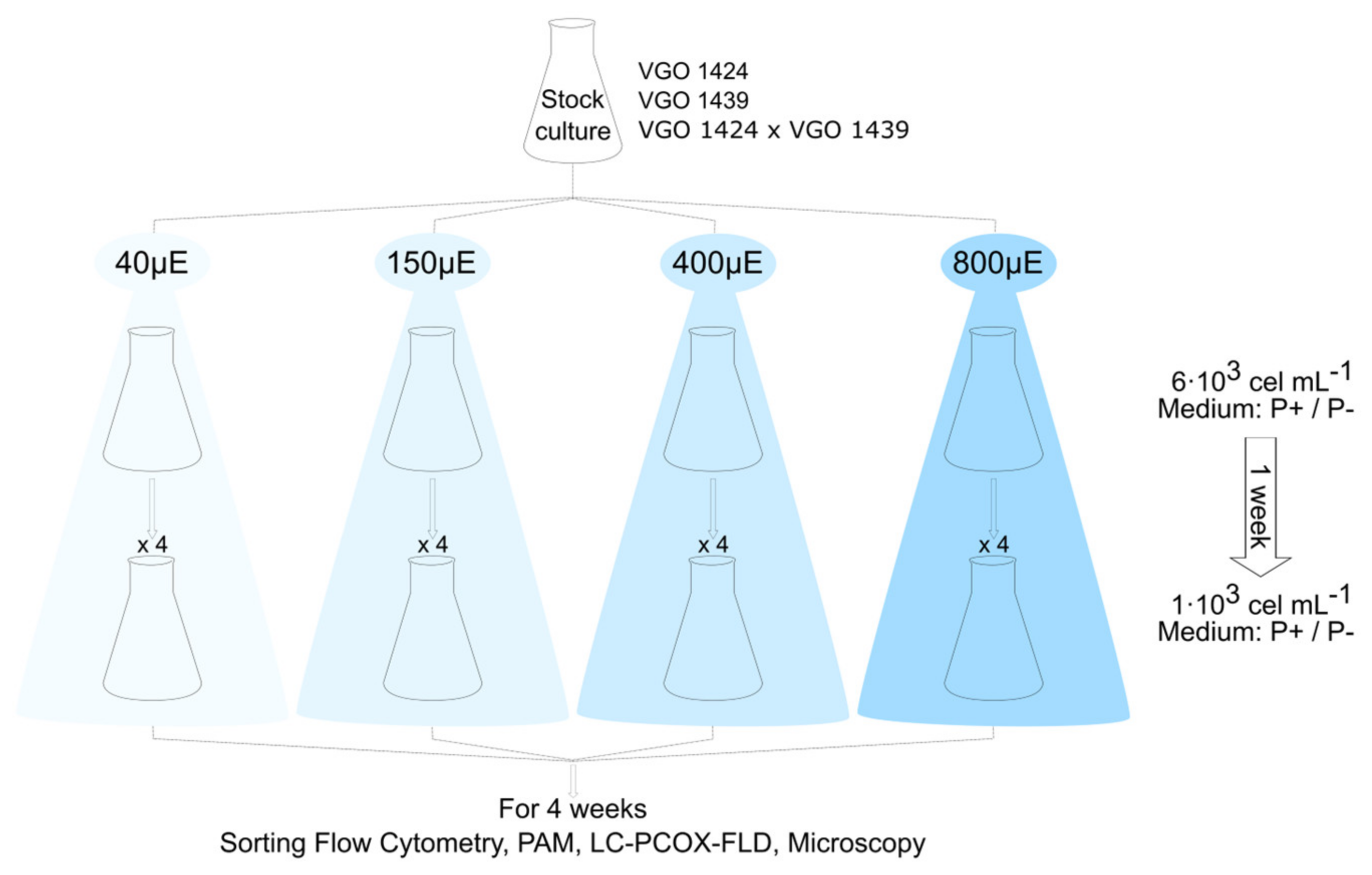 Microorganisms 12 01480 g002