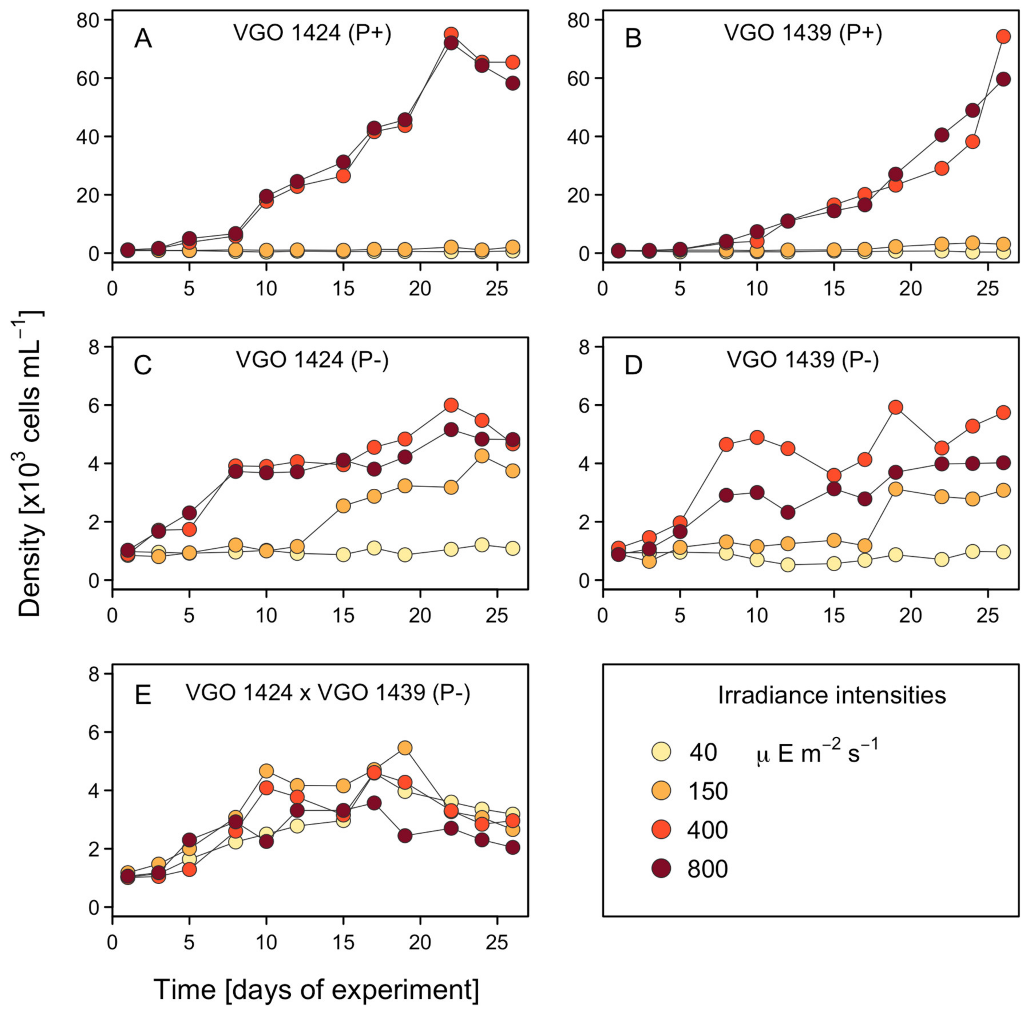 Microorganisms 12 01480 g003