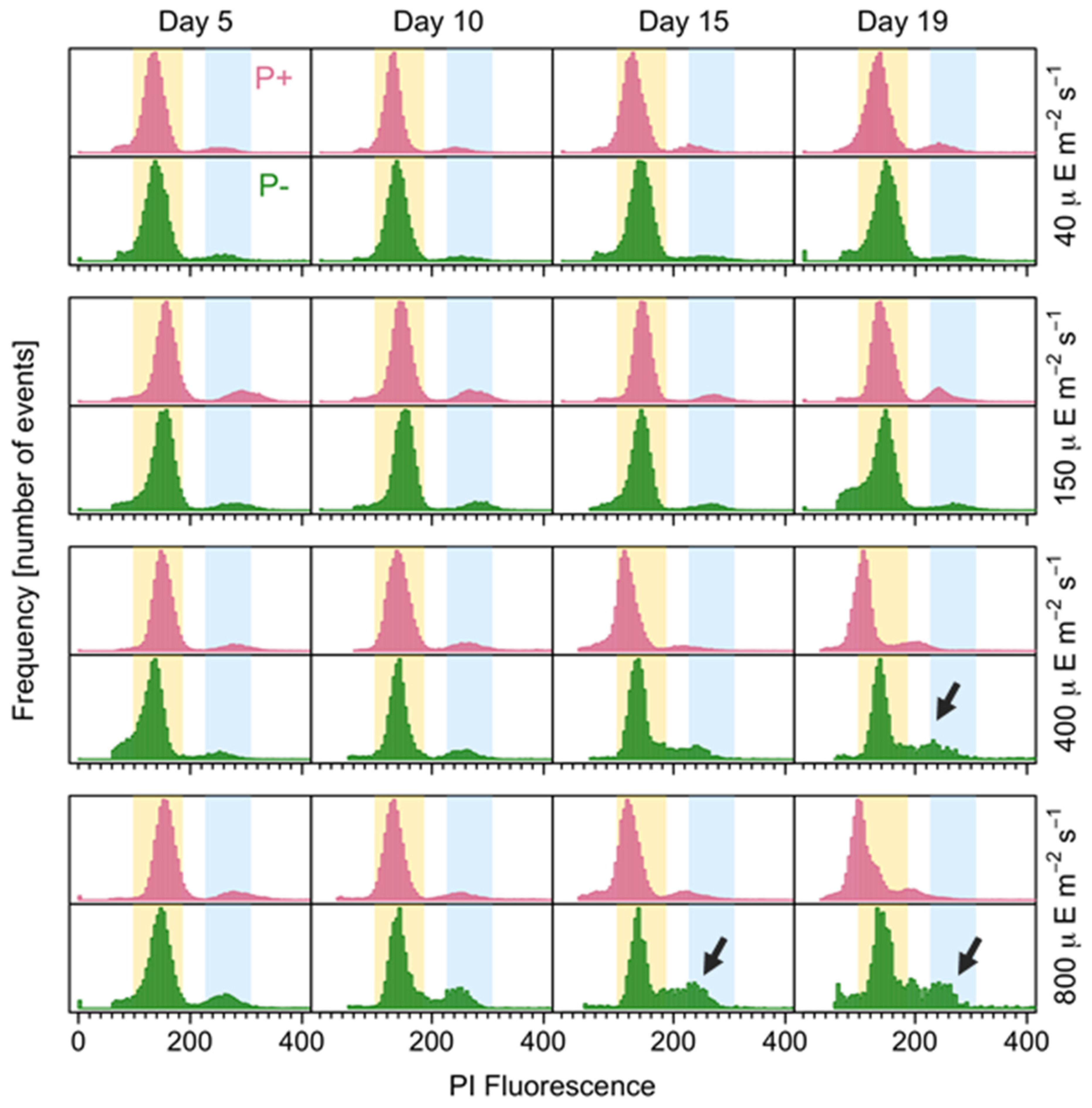 Microorganisms 12 01480 g008