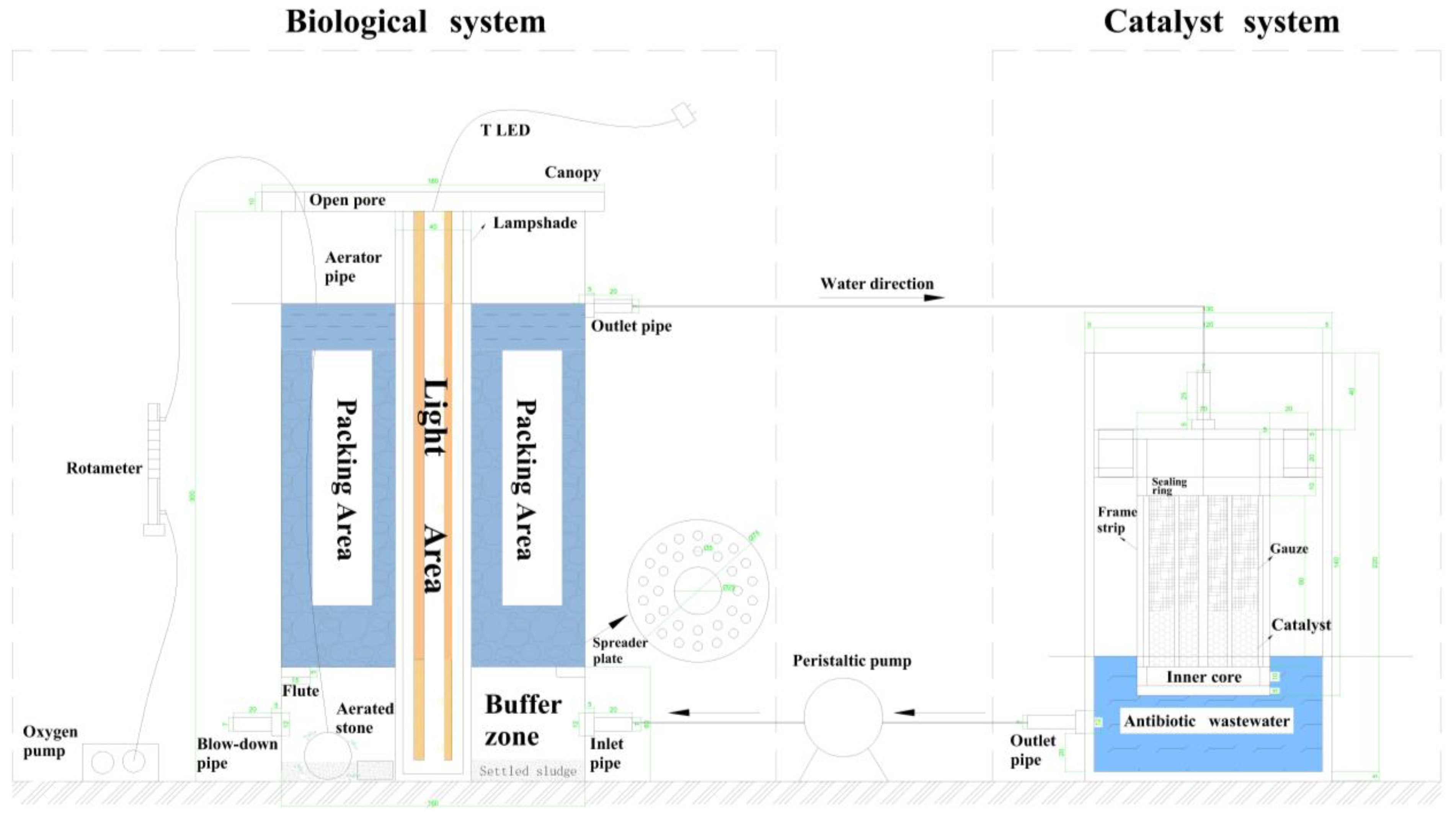 Microorganisms 12 01488 g001