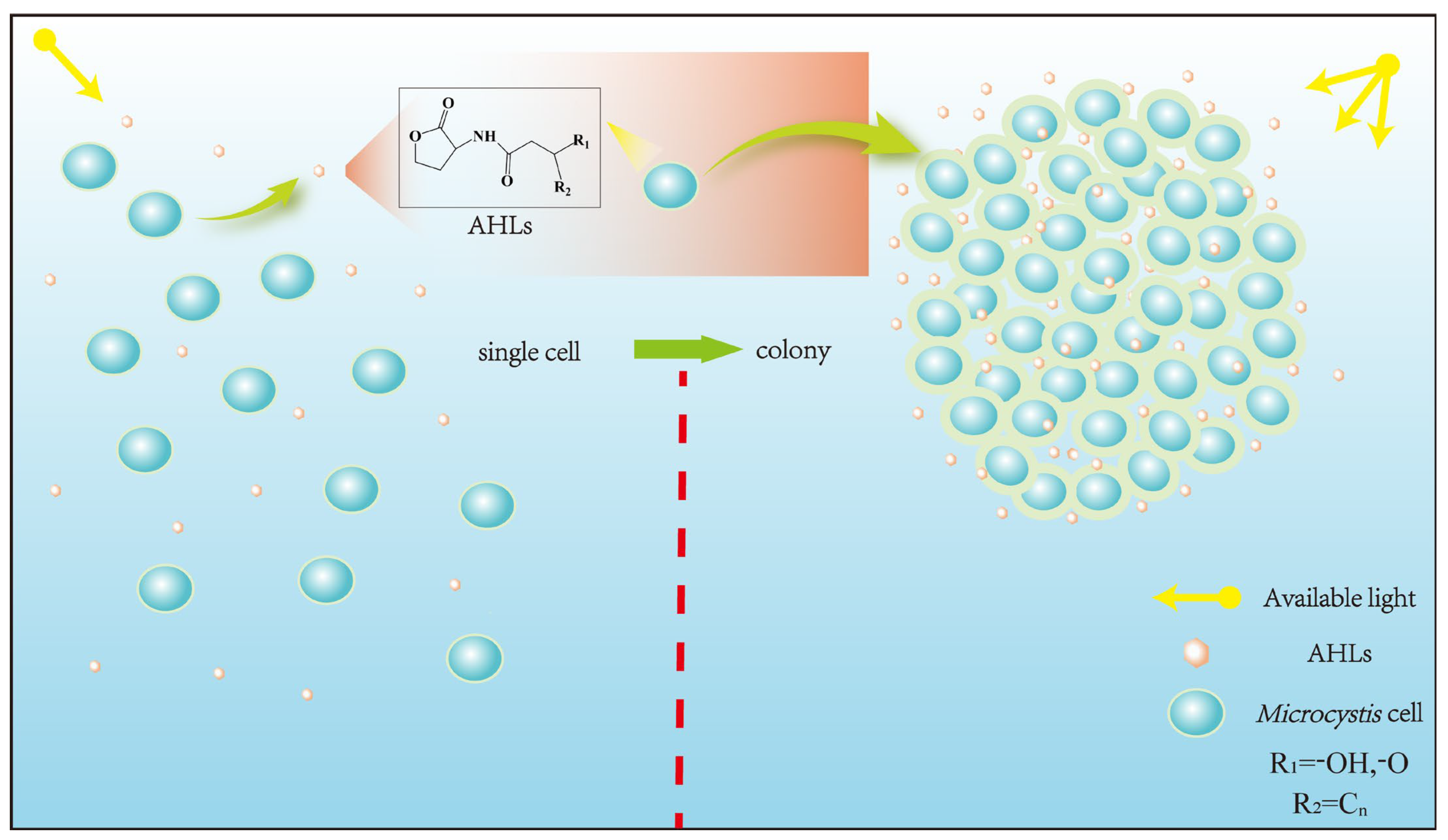 Microorganisms 12 01489 g001