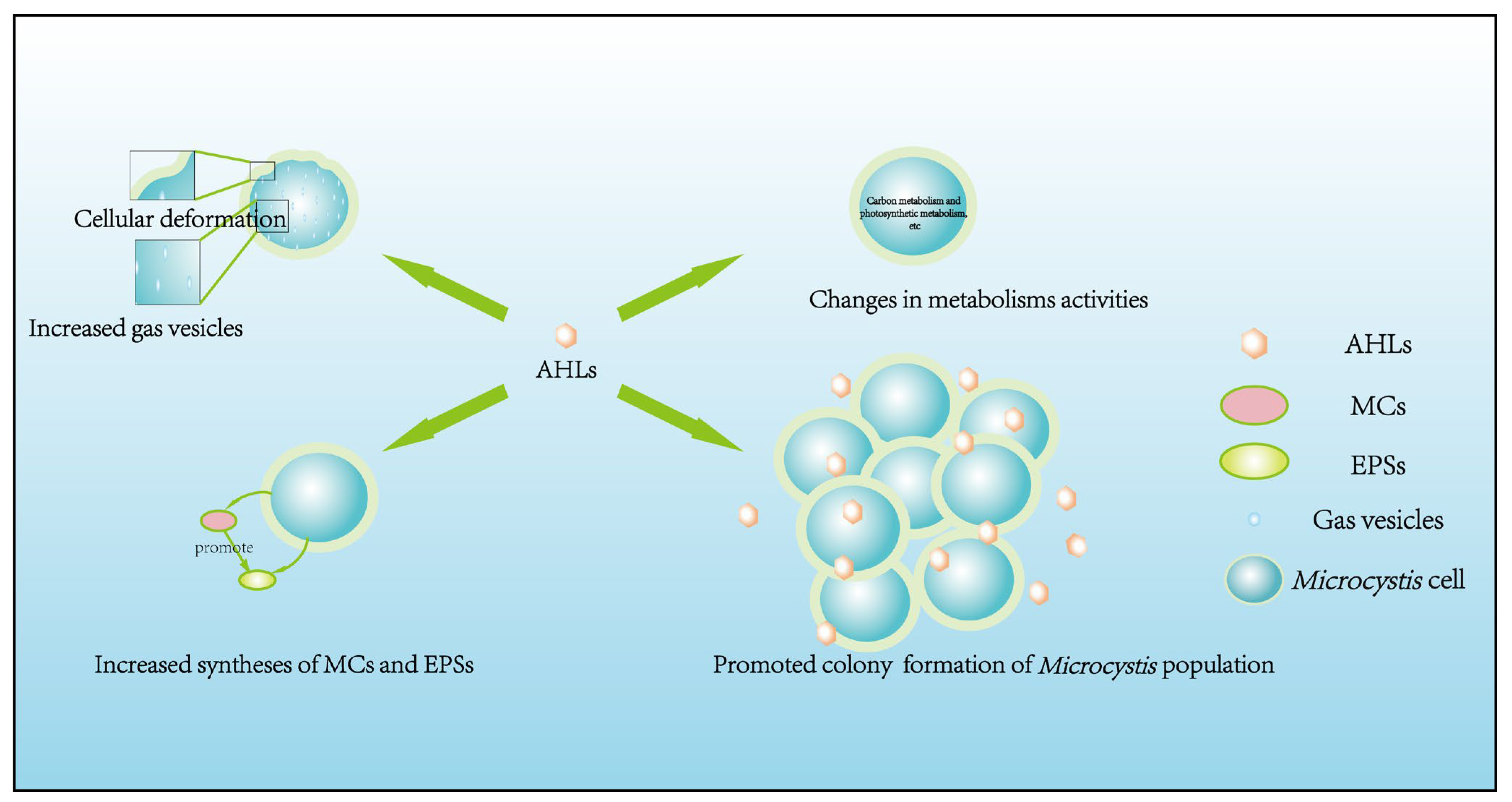 Microorganisms 12 01489 g002