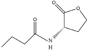 Microorganisms 12 01489 i004