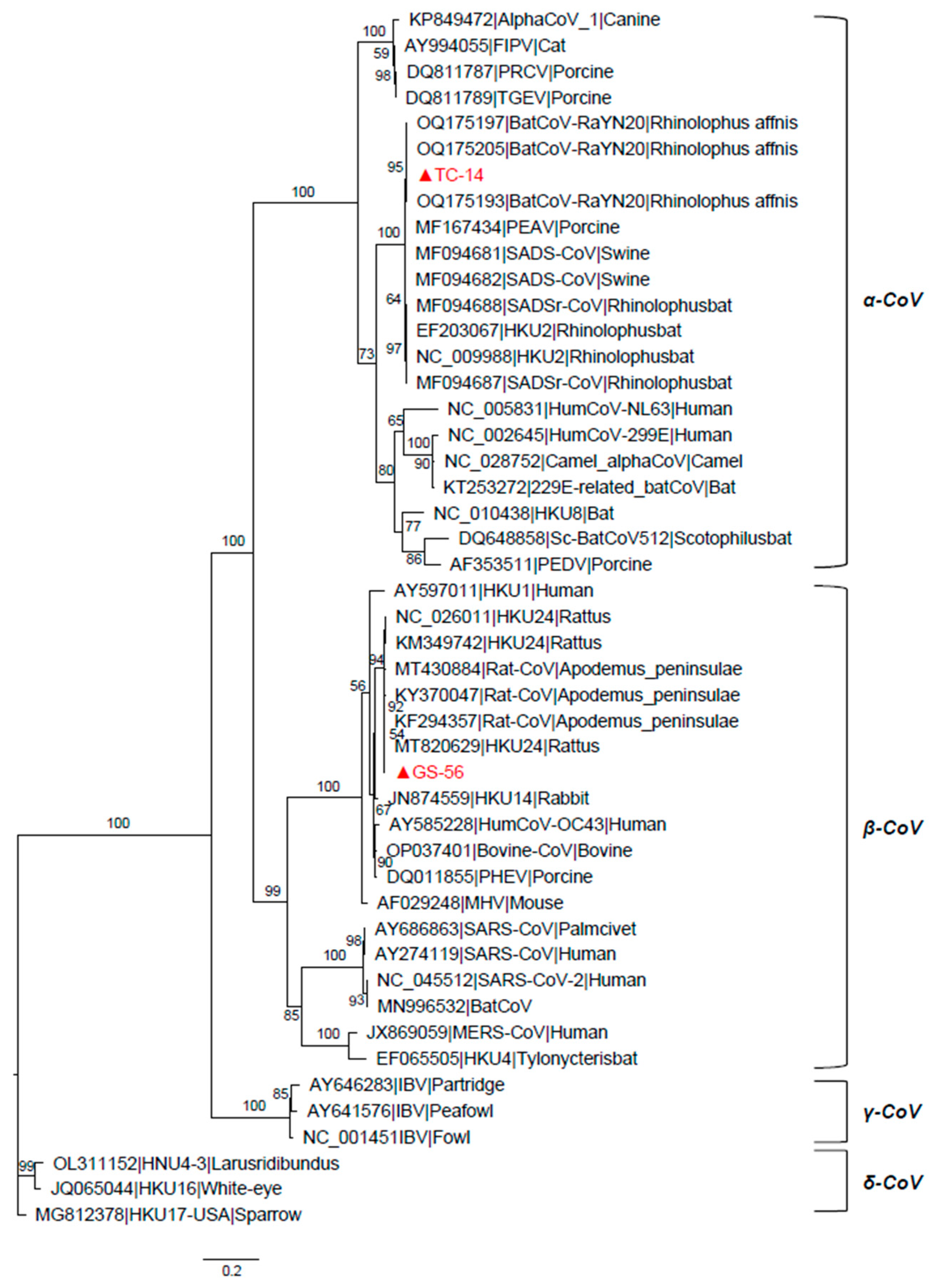 Microorganisms 12 01490 g001