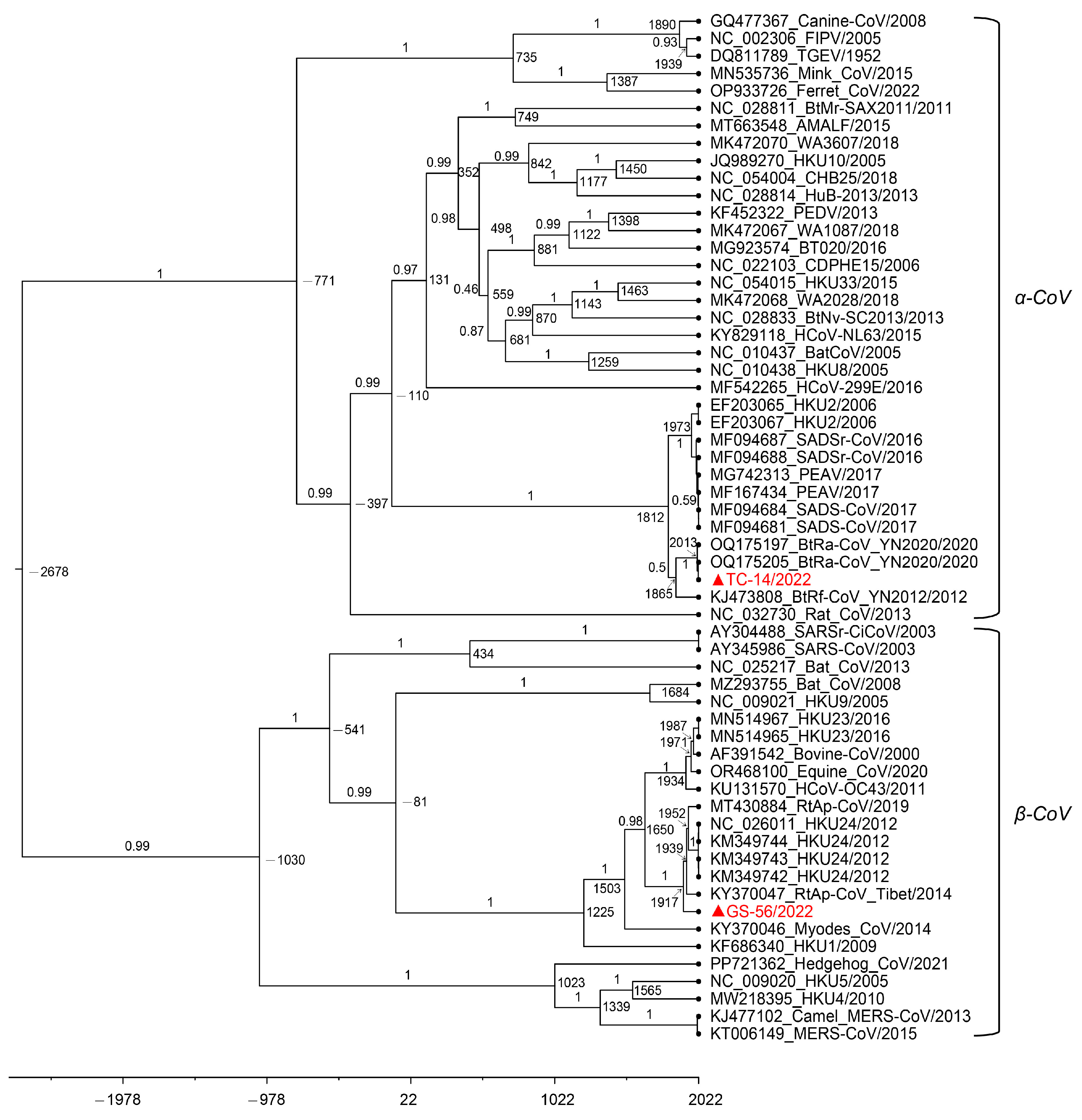 Microorganisms 12 01490 g005