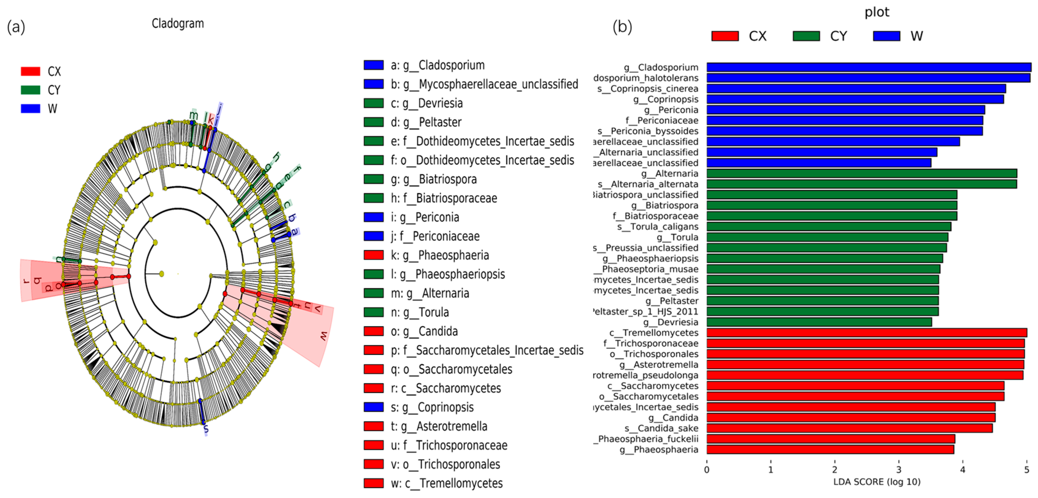 Microorganisms 12 01491 g003