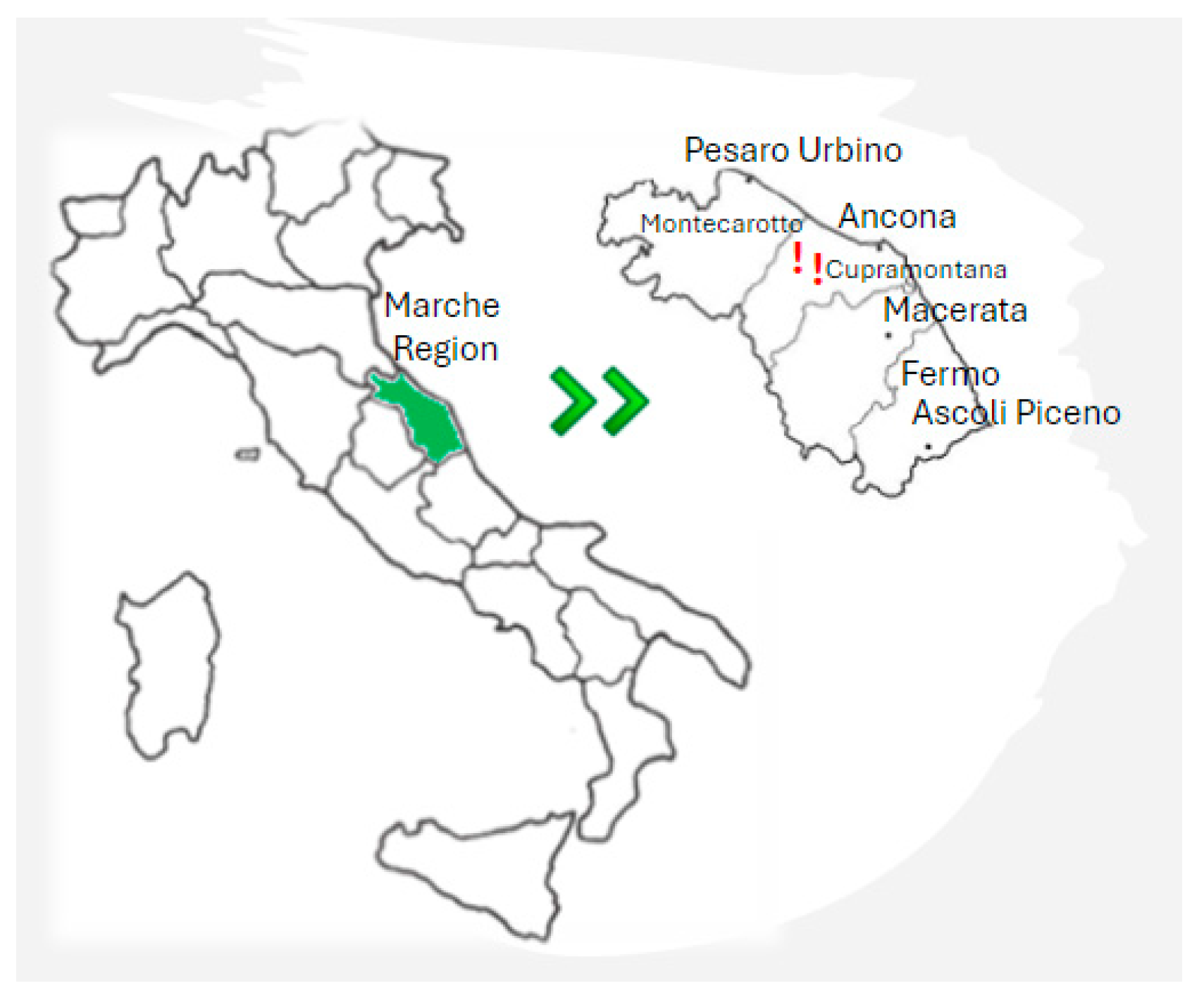 Microorganisms 12 01494 g001 Microorganisms 12 01494 g001