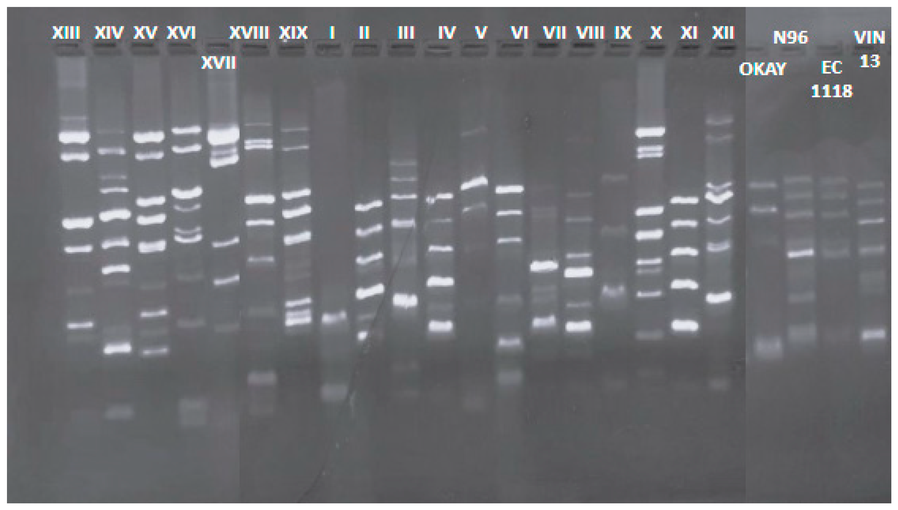 Microorganisms 12 01494 g002 Microorganisms 12 01494 g002