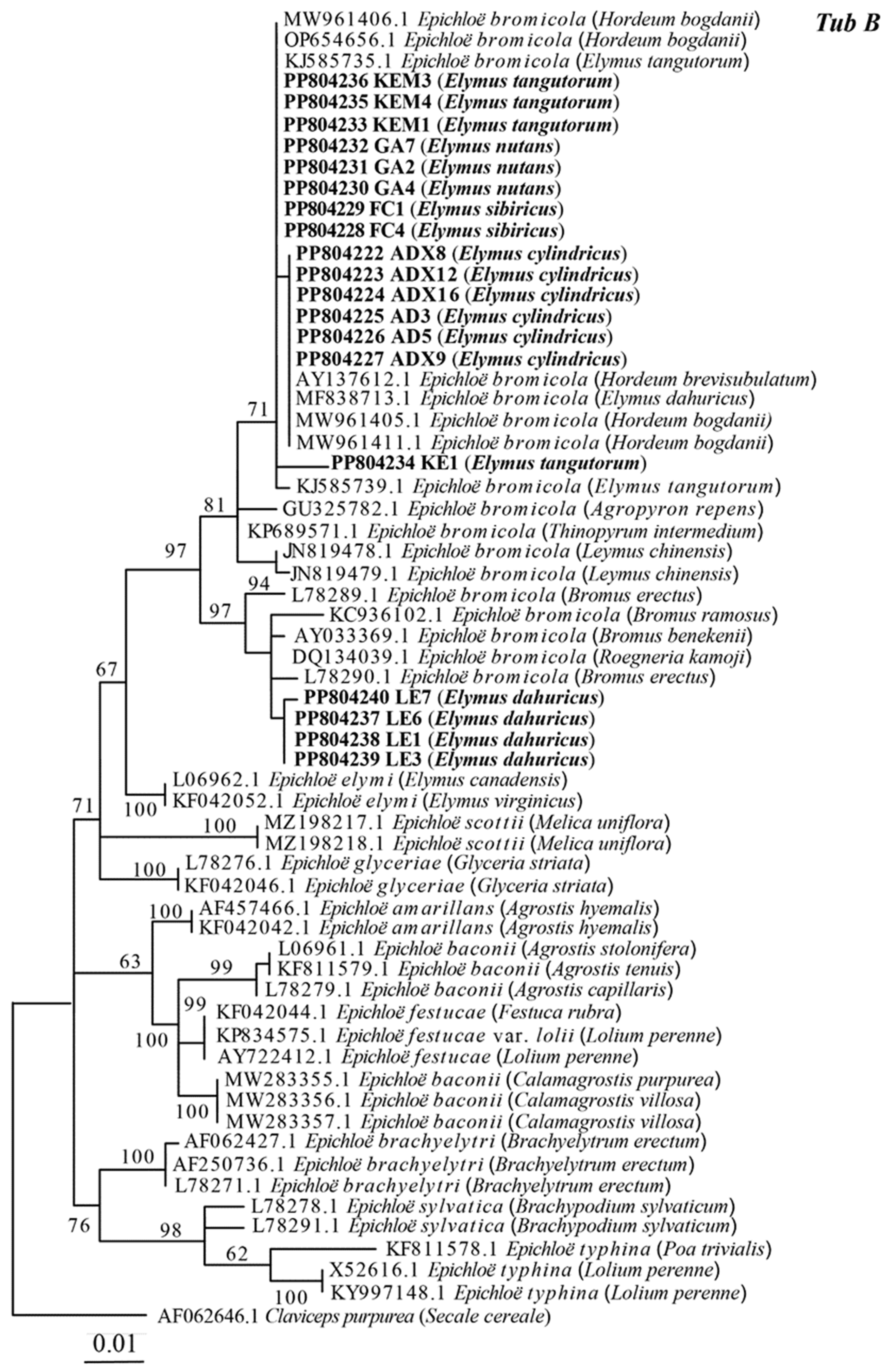 Microorganisms 12 01497 g002