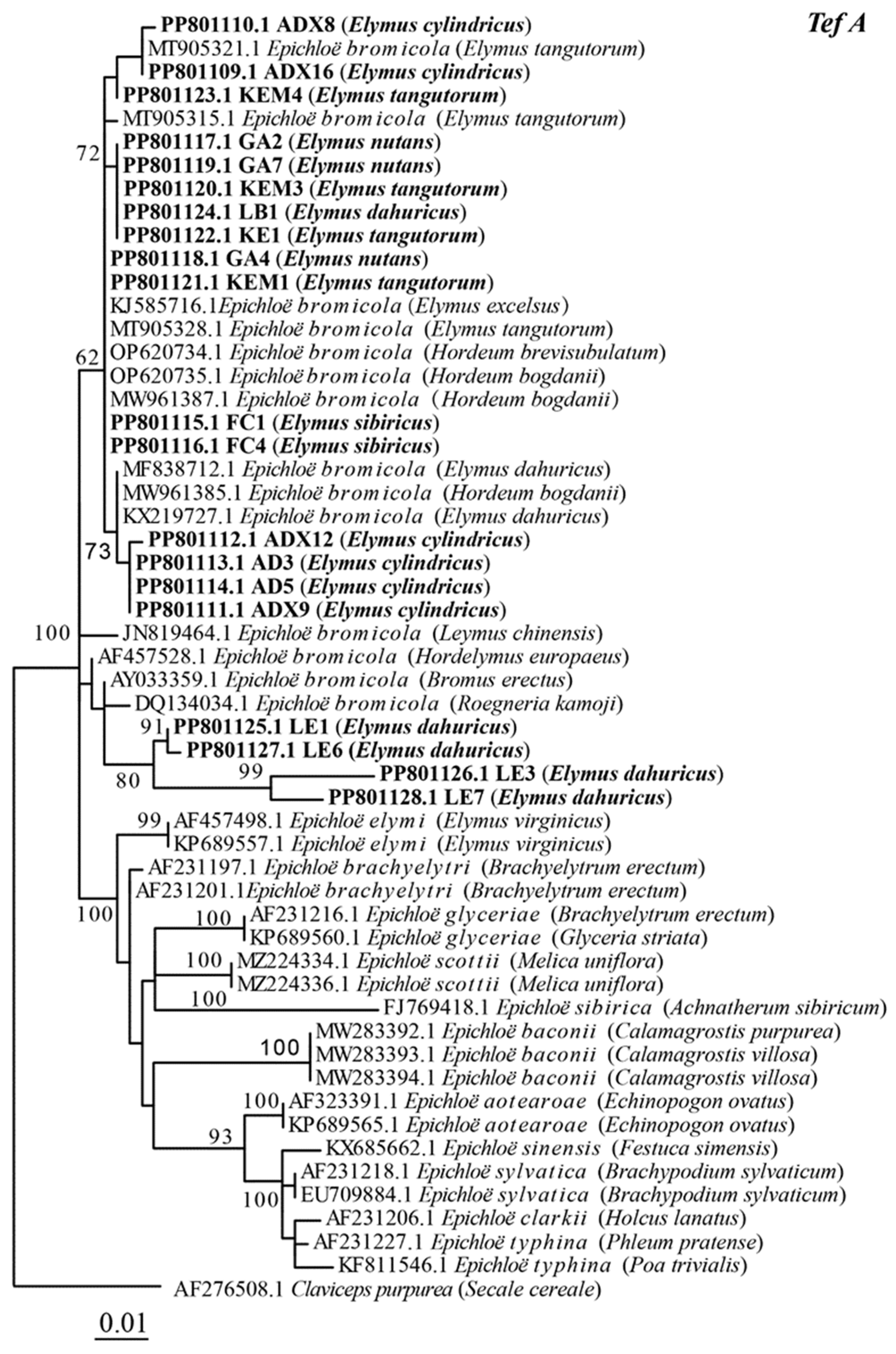 Microorganisms 12 01497 g003