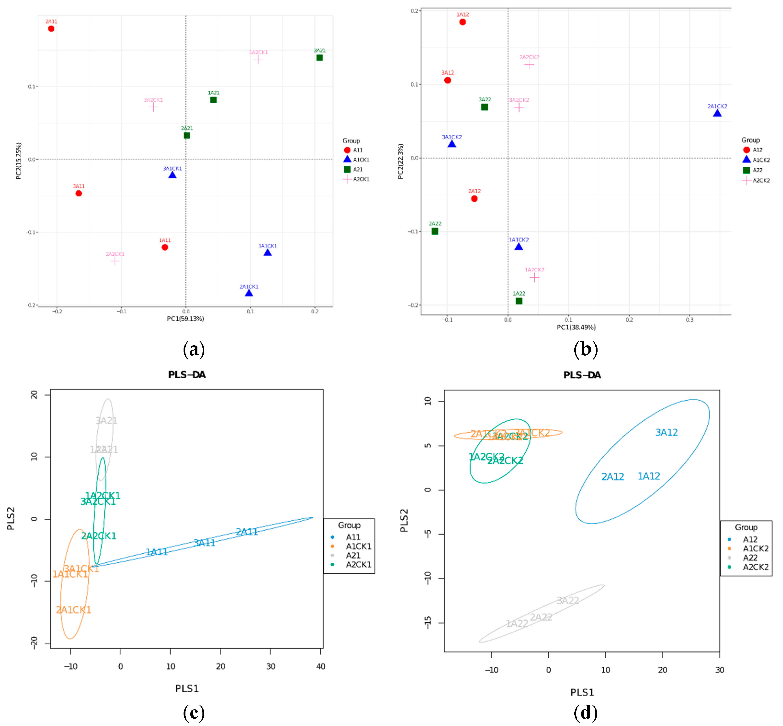 Microorganisms 12 01534 g005