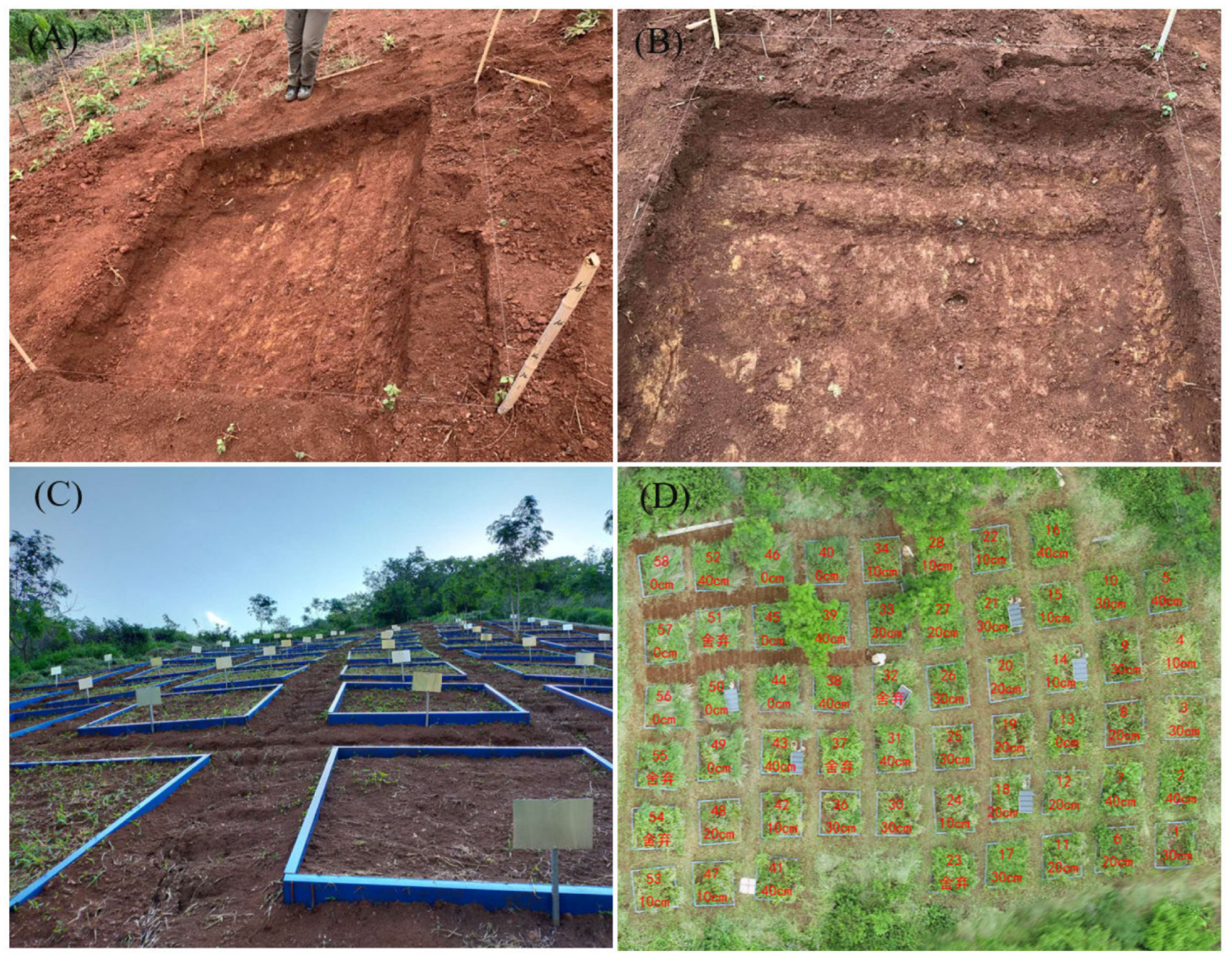 Microorganisms 12 01546 g001