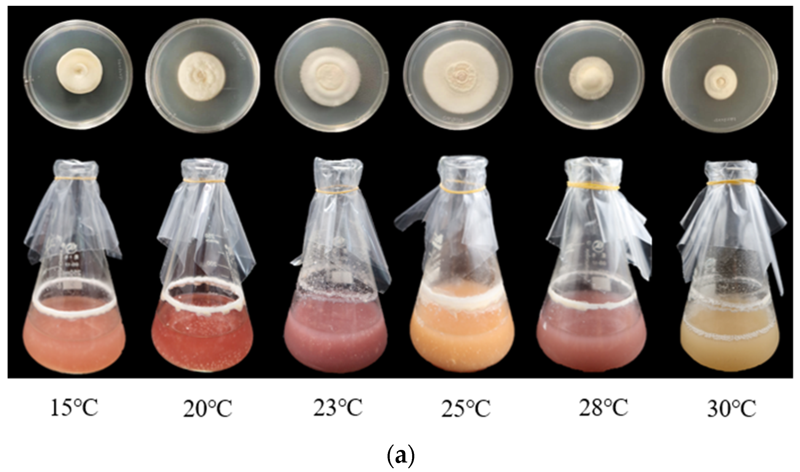 Microorganisms 12 01554 g003a