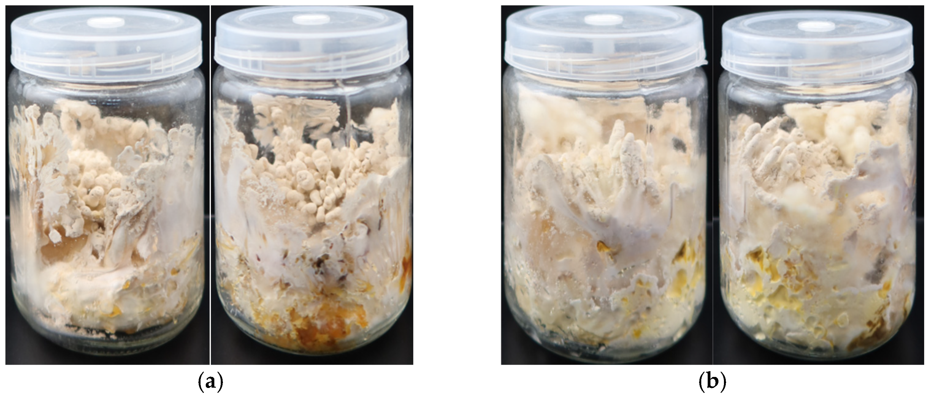 Microorganisms 12 01554 g008