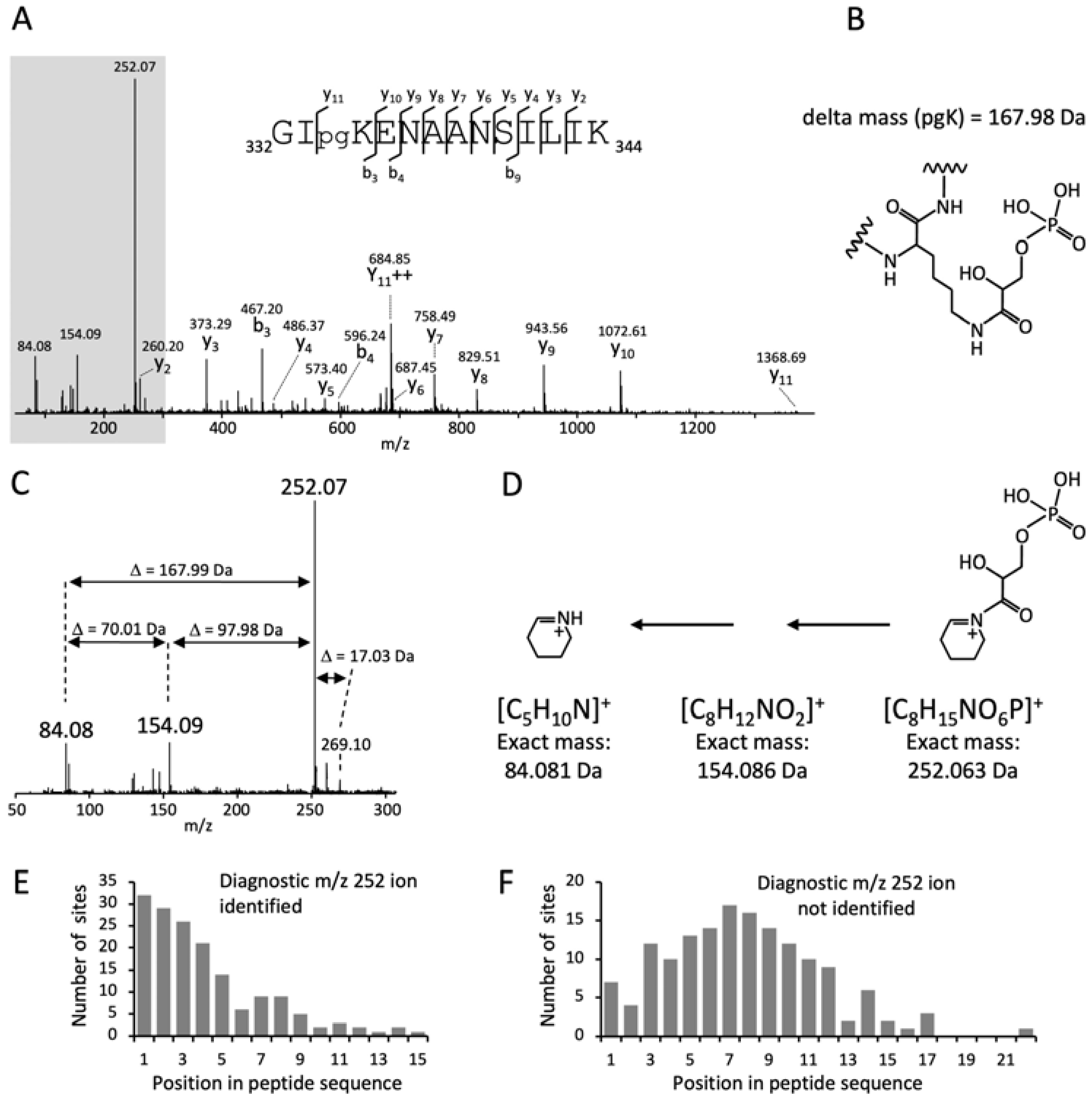 Microorganisms 12 01556 g001