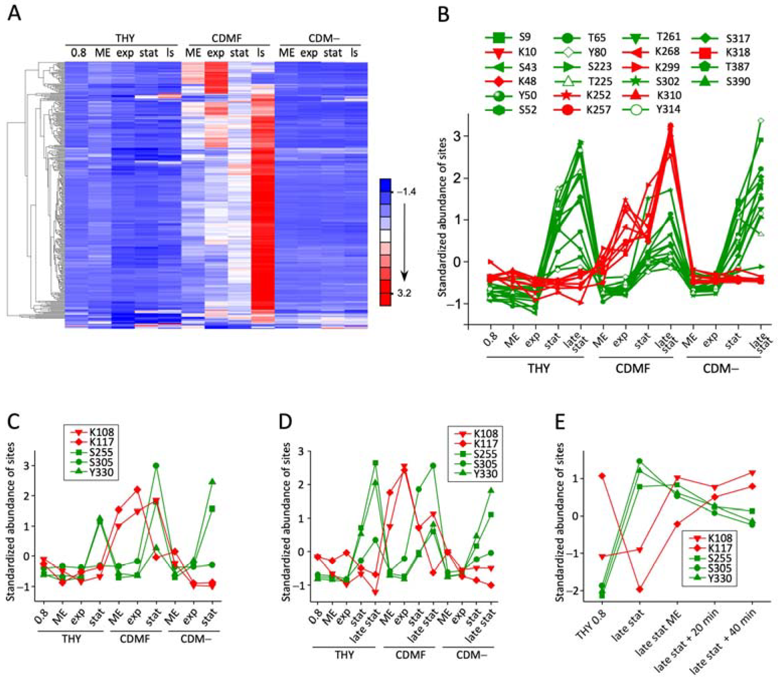 Microorganisms 12 01556 g003