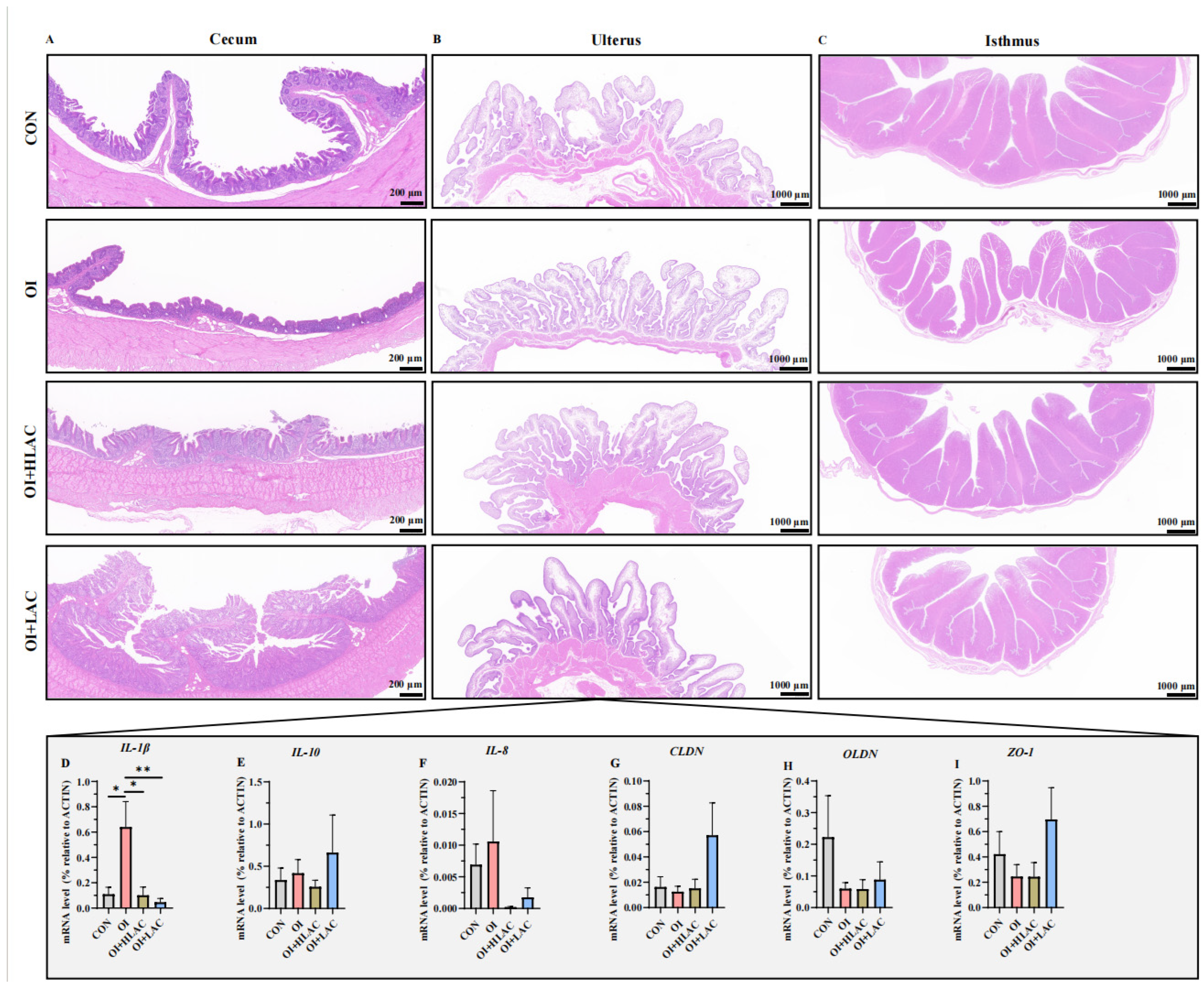 Microorganisms 12 01559 g005