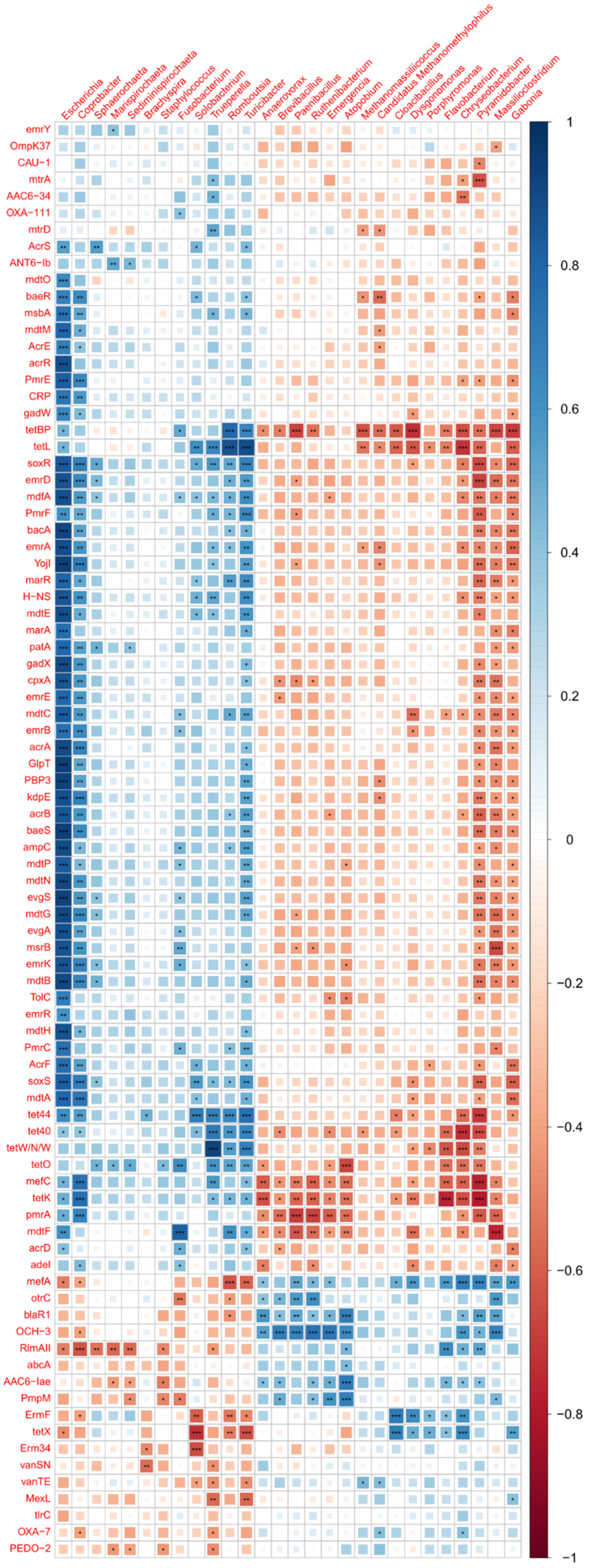 Microorganisms 12 01562 g012