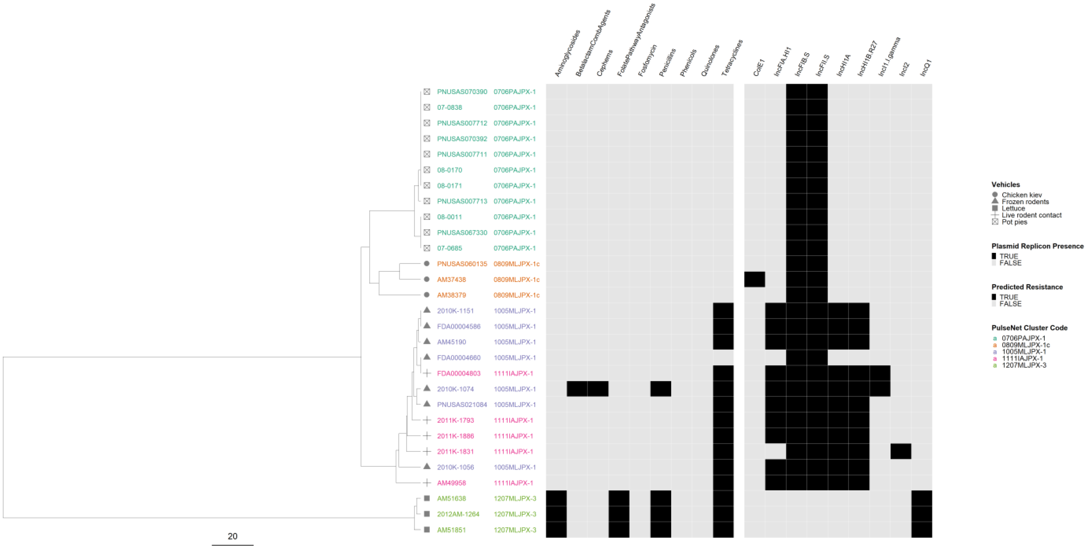 Microorganisms 12 01563 g007