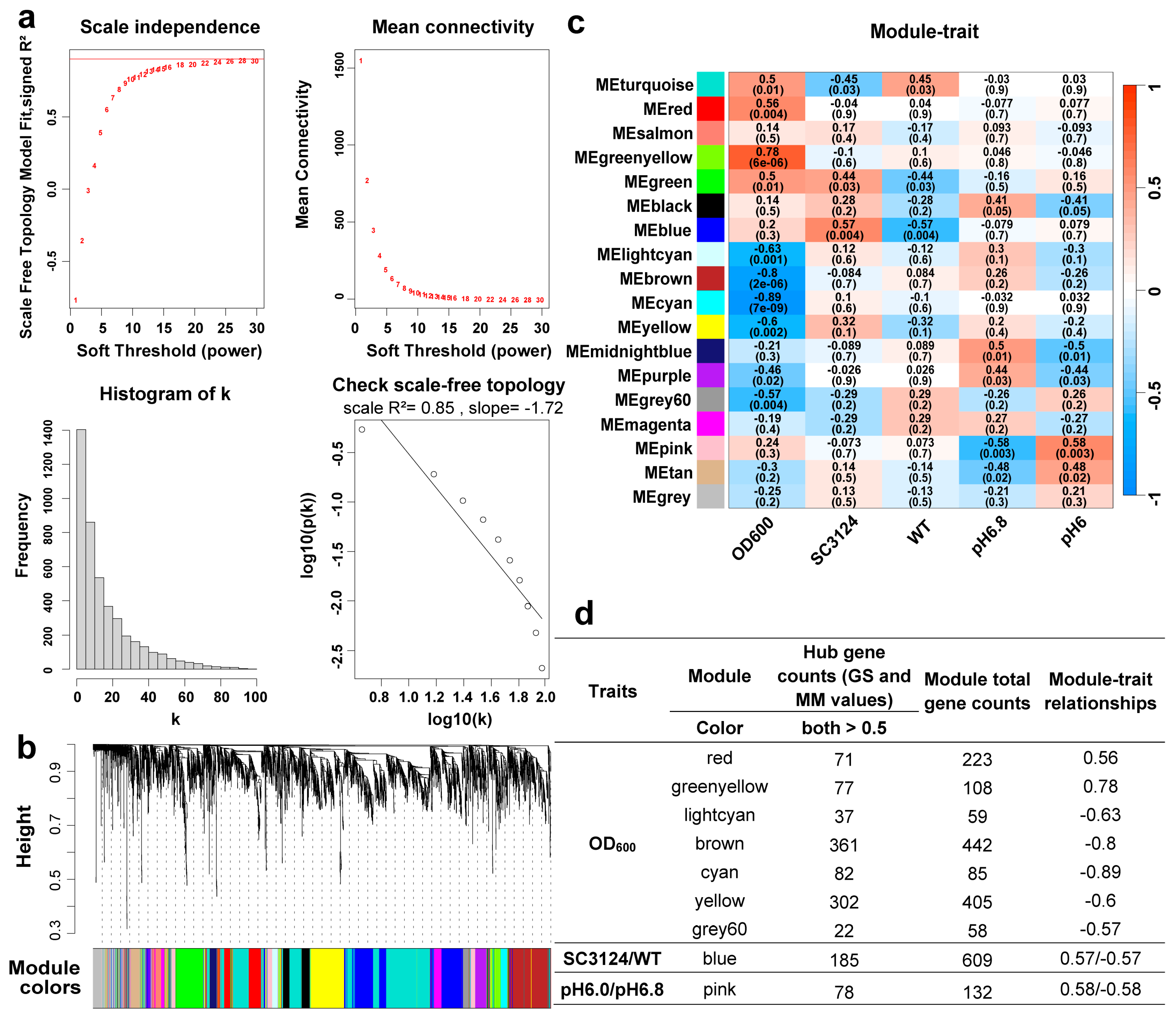 Microorganisms 12 01565 g003