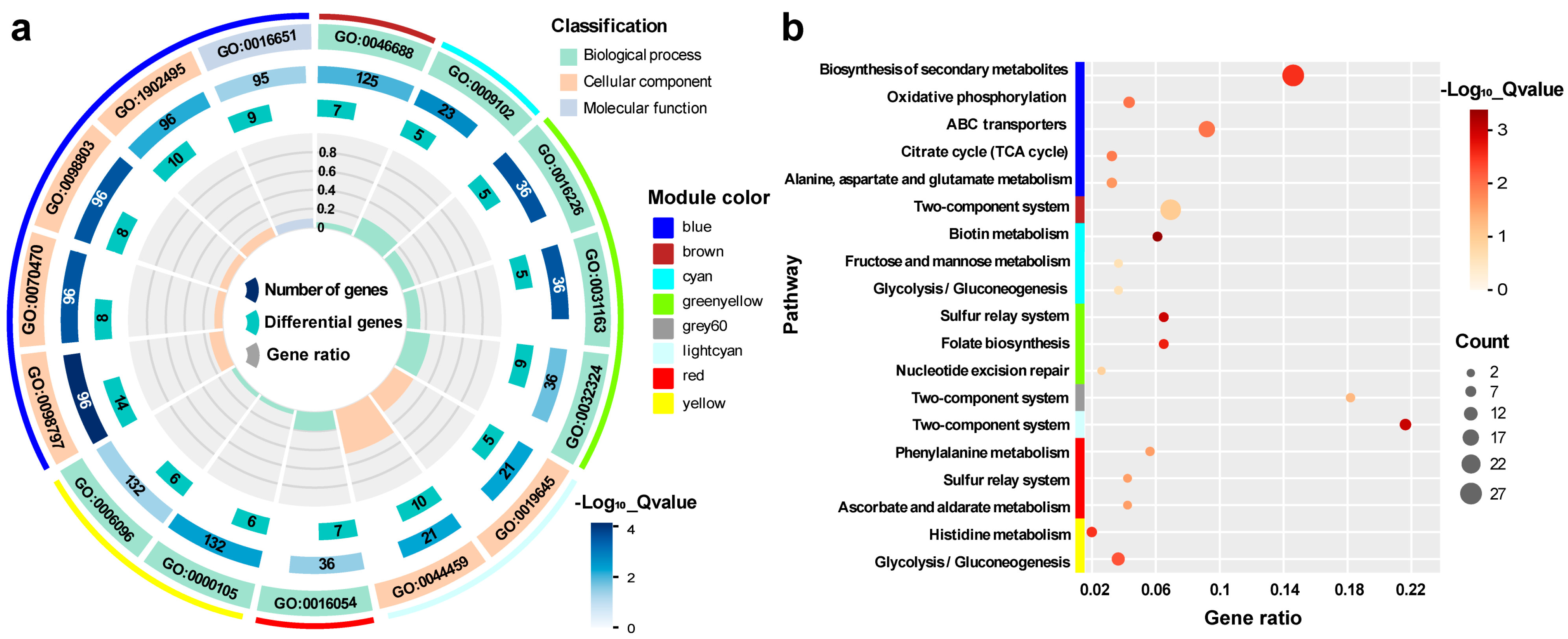 Microorganisms 12 01565 g004