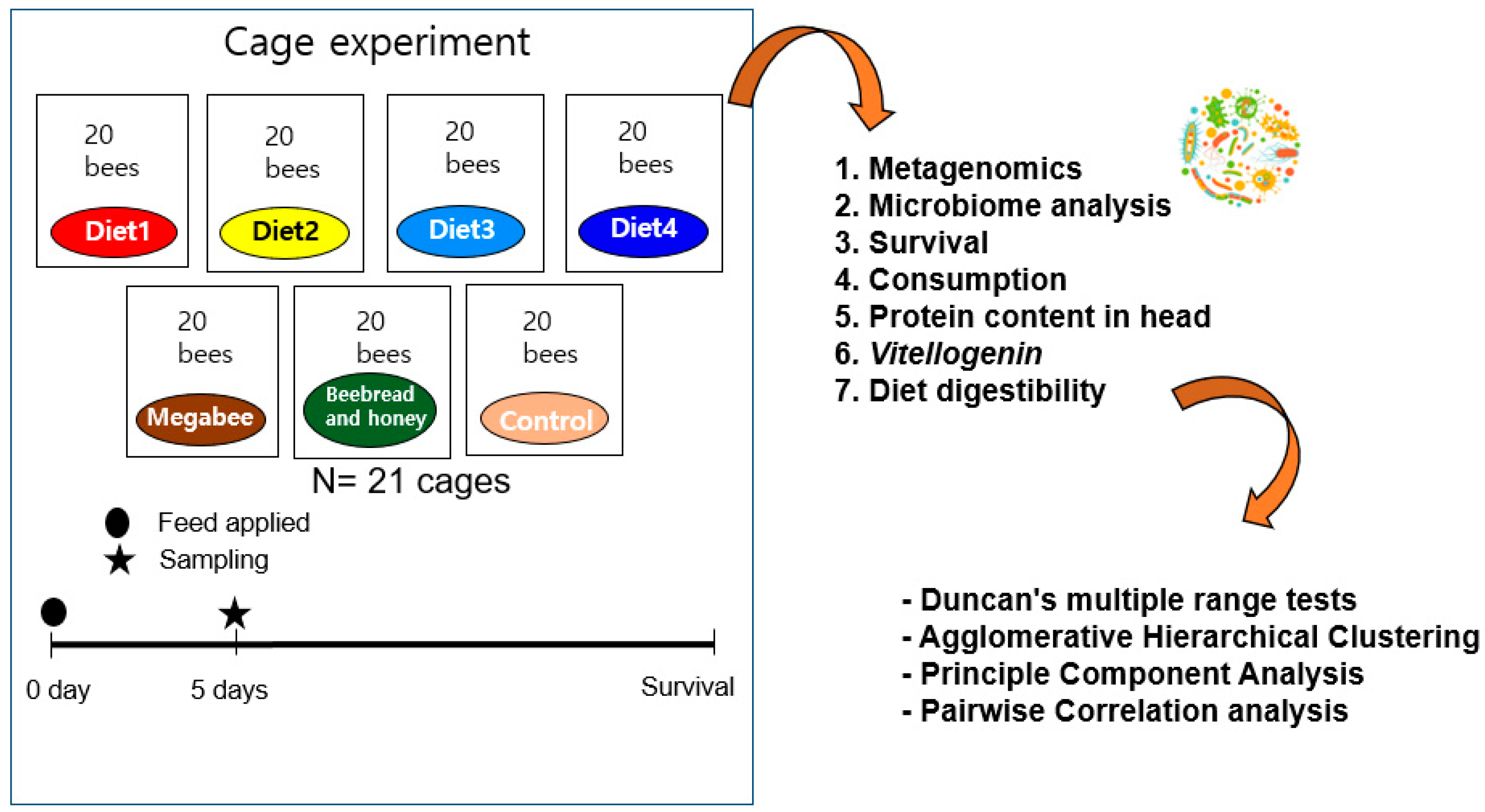 Microorganisms 12 01567 g001