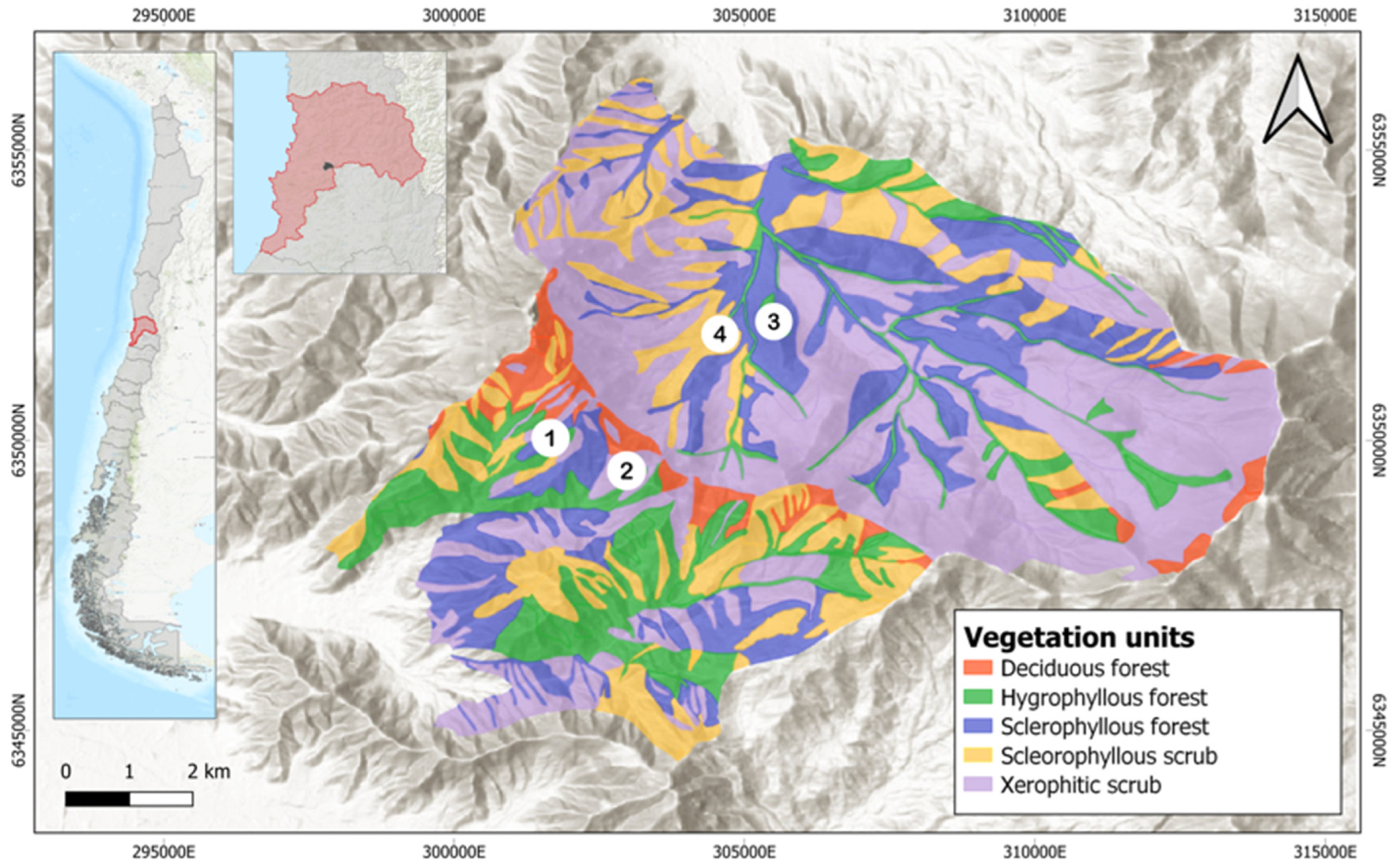 Microorganisms 12 01569 g001