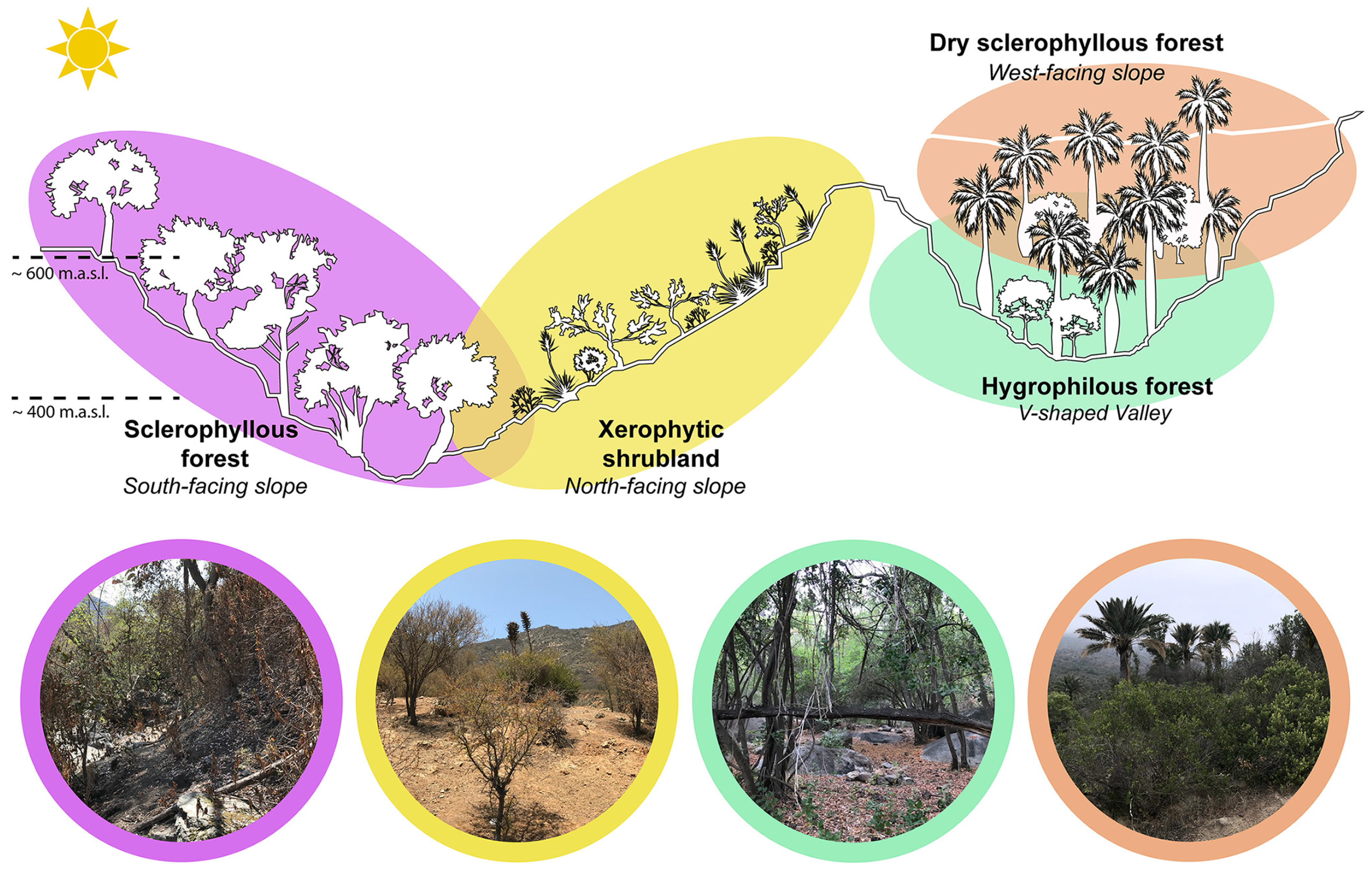 Microorganisms 12 01569 g002