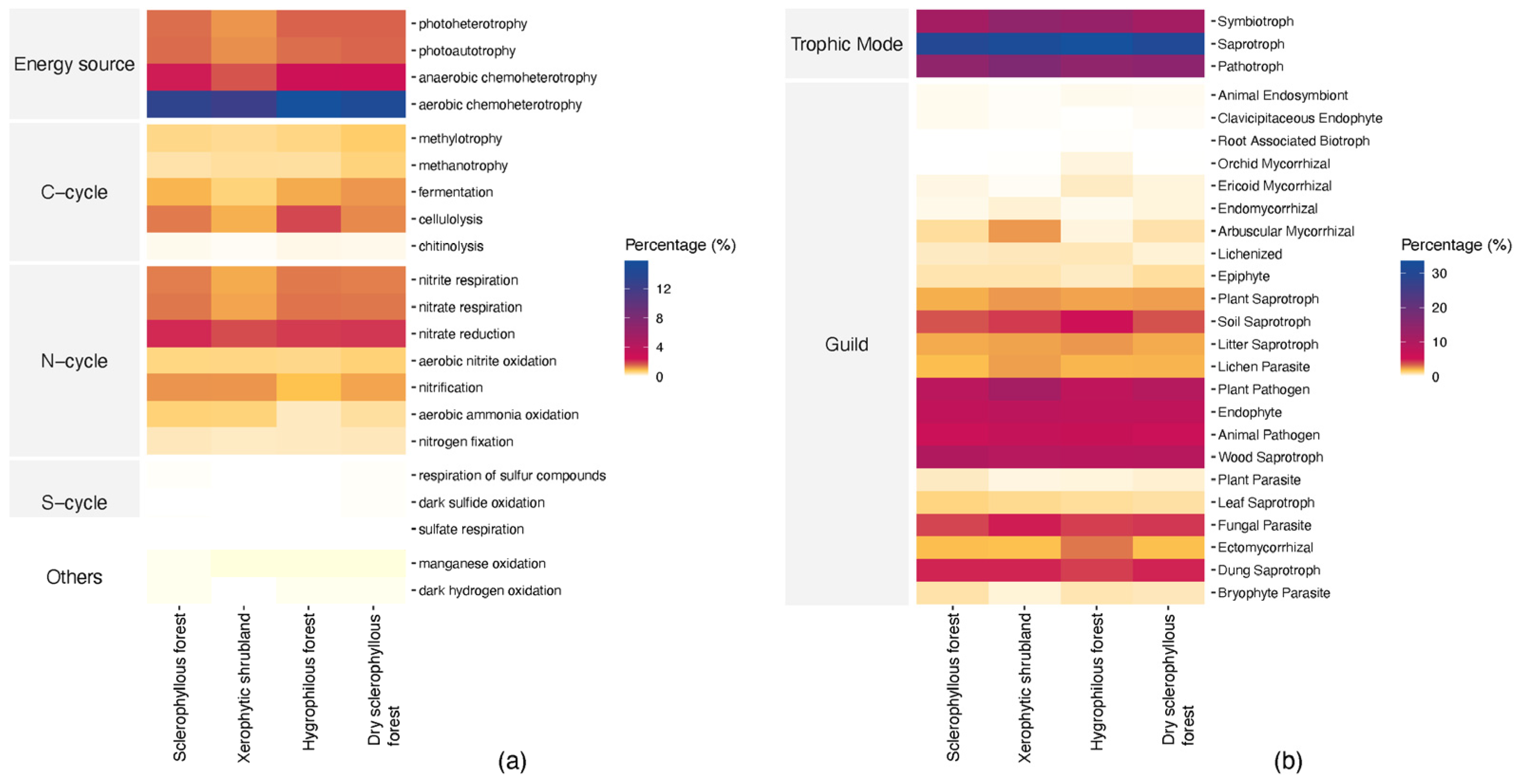 Microorganisms 12 01569 g014