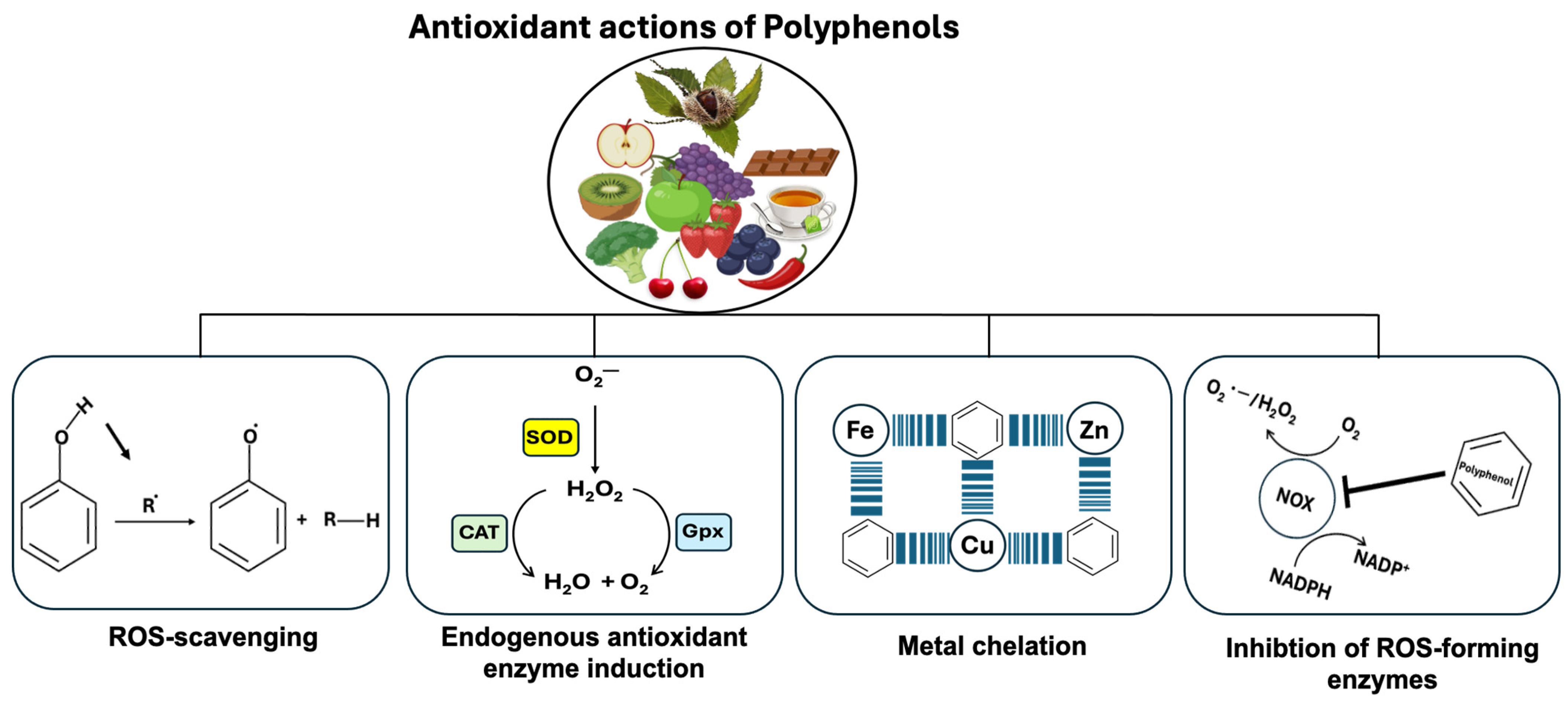 Microorganisms 12 01570 g005 Microorganisms 12 01570 g005