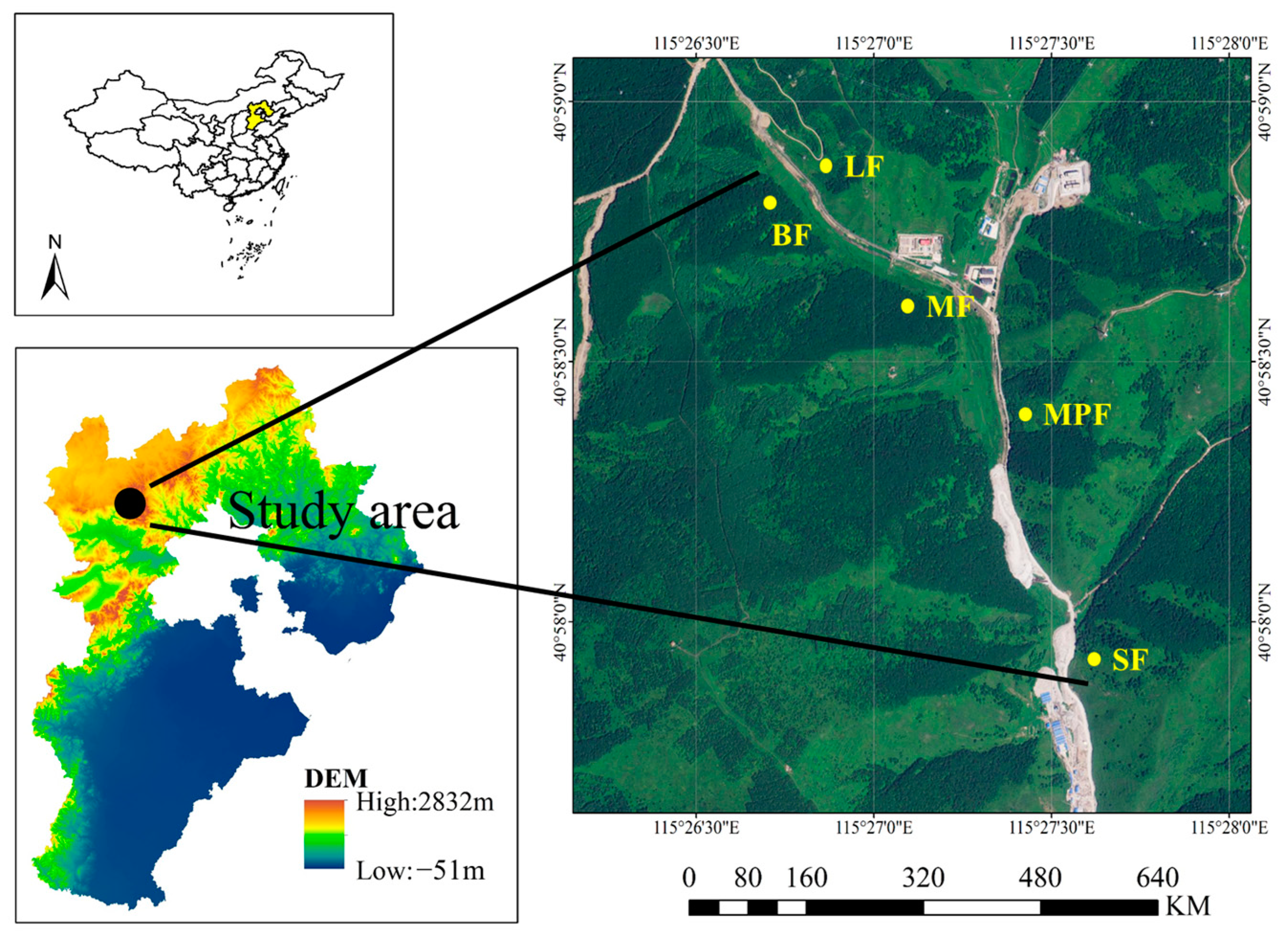 Microorganisms 12 01577 g001