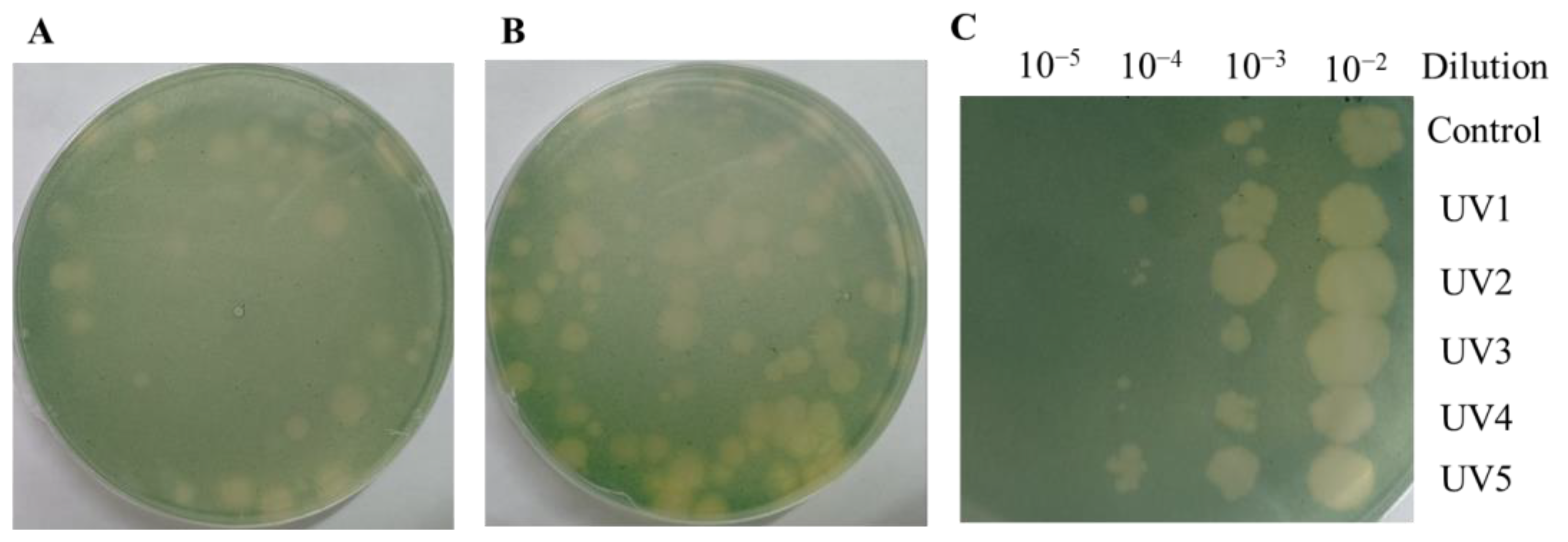 Microorganisms 12 01578 g004