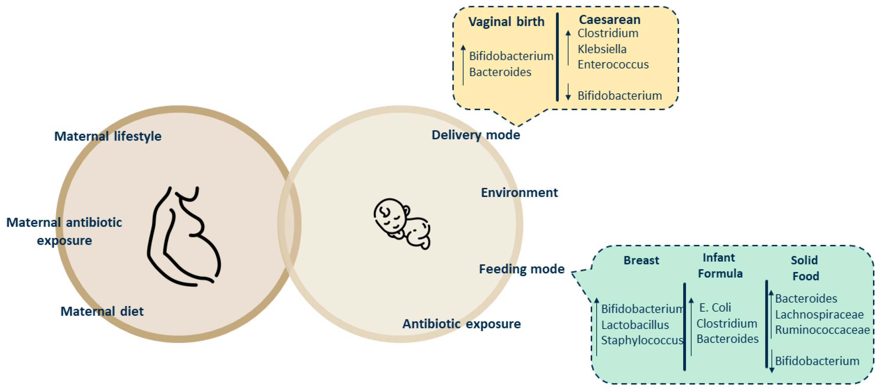 Microorganisms 12 01582 g002 Microorganisms 12 01582 g002