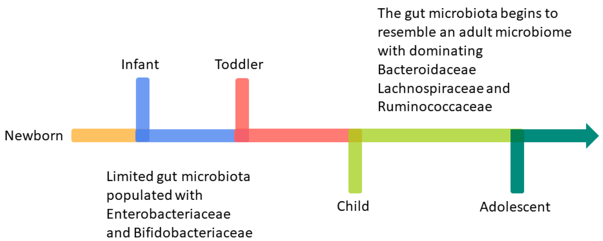Microorganisms 12 01582 g003 Microorganisms 12 01582 g003