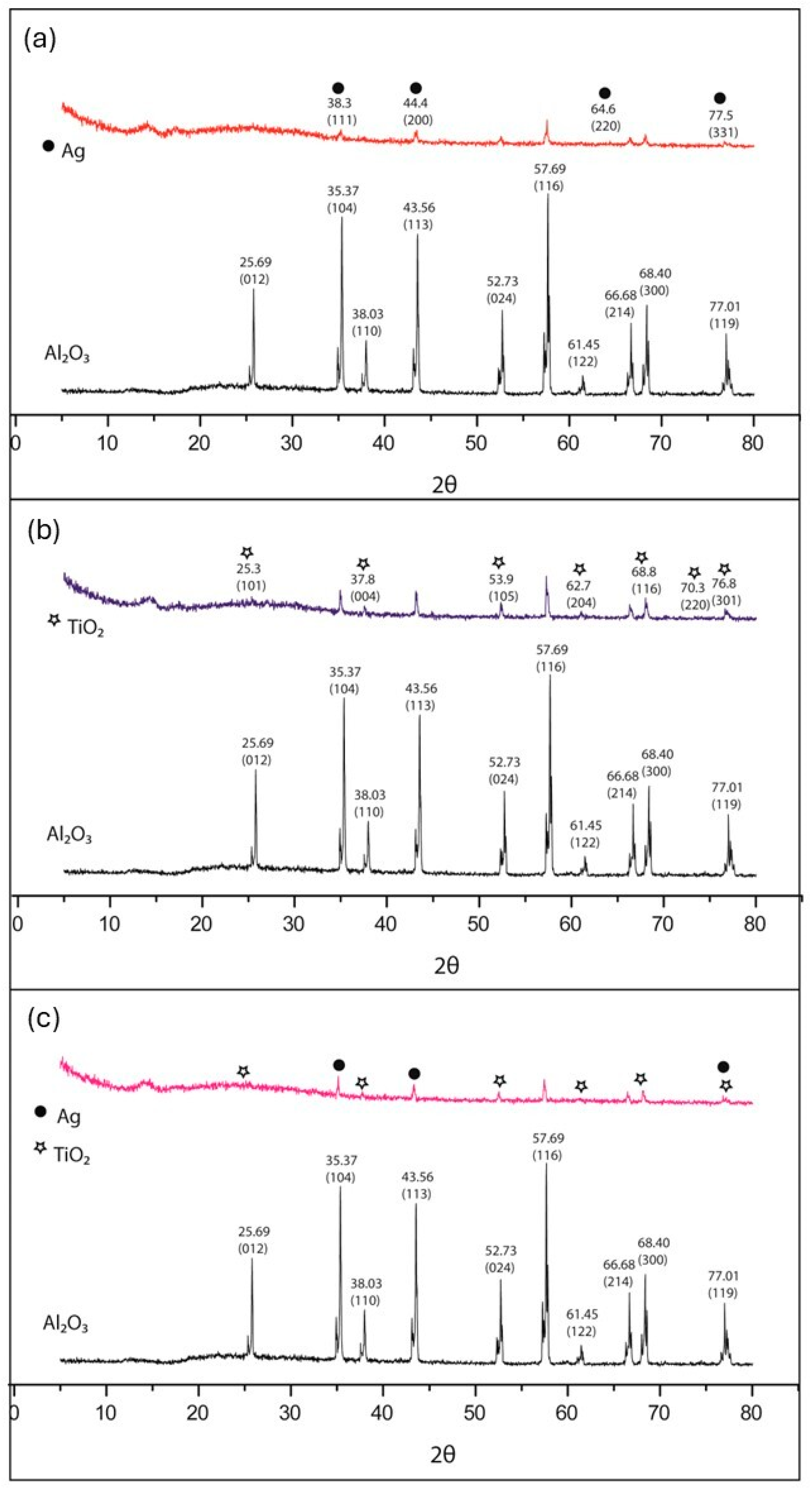 Microorganisms 12 01583 g005